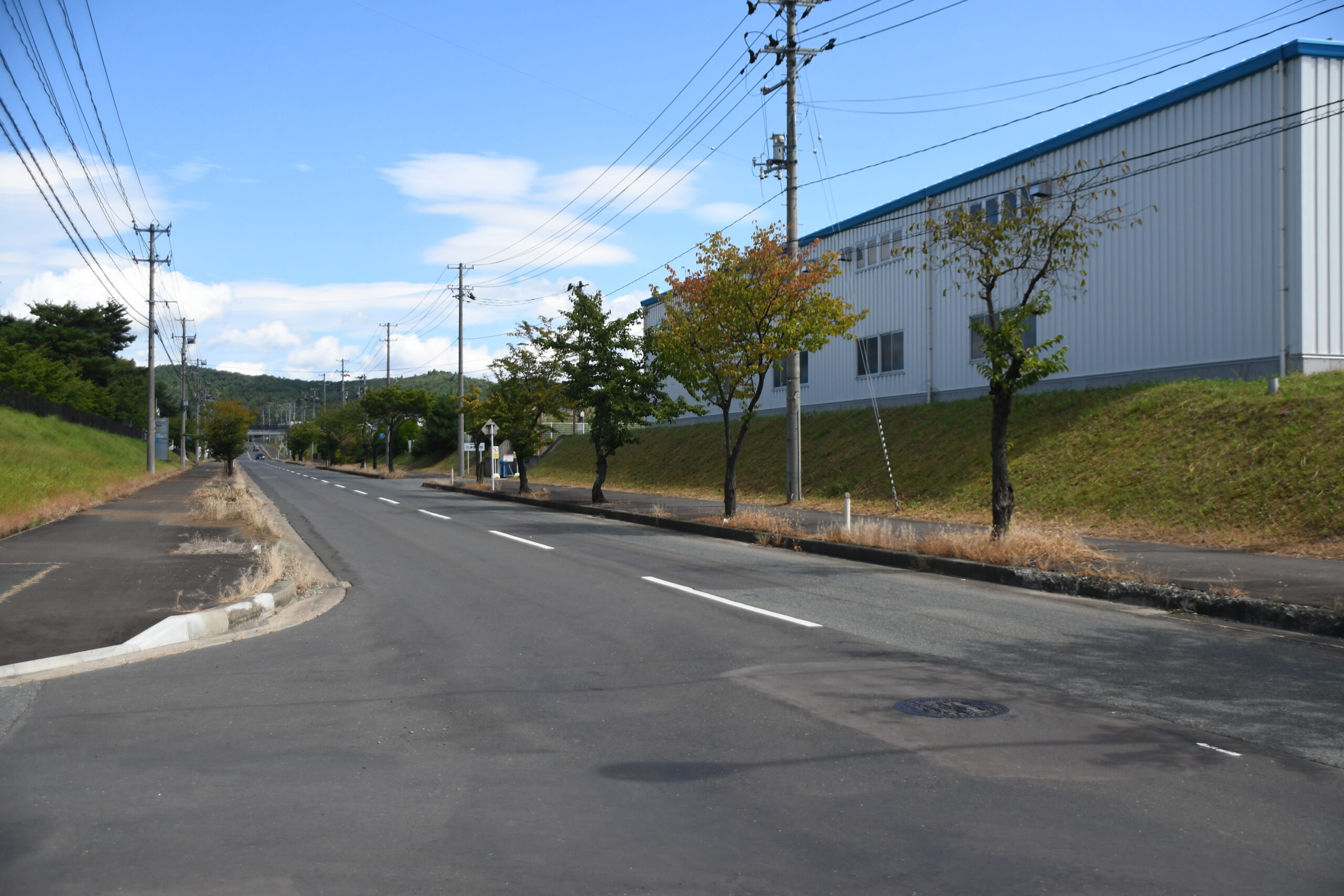 江刺や金ケ崎　上昇傾向（胆江地区基準地価）