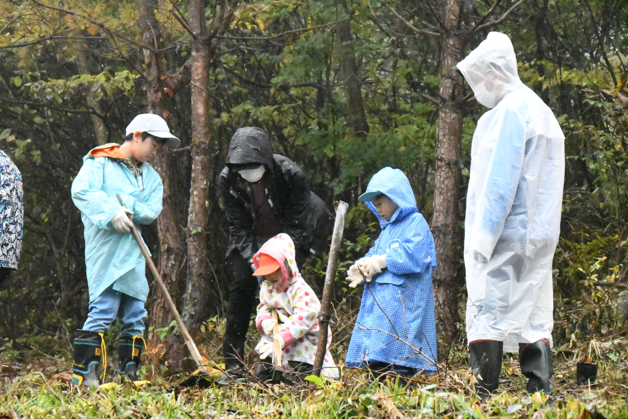 いわて生協ブナ植樹 10年かけ600本（前沢生母）