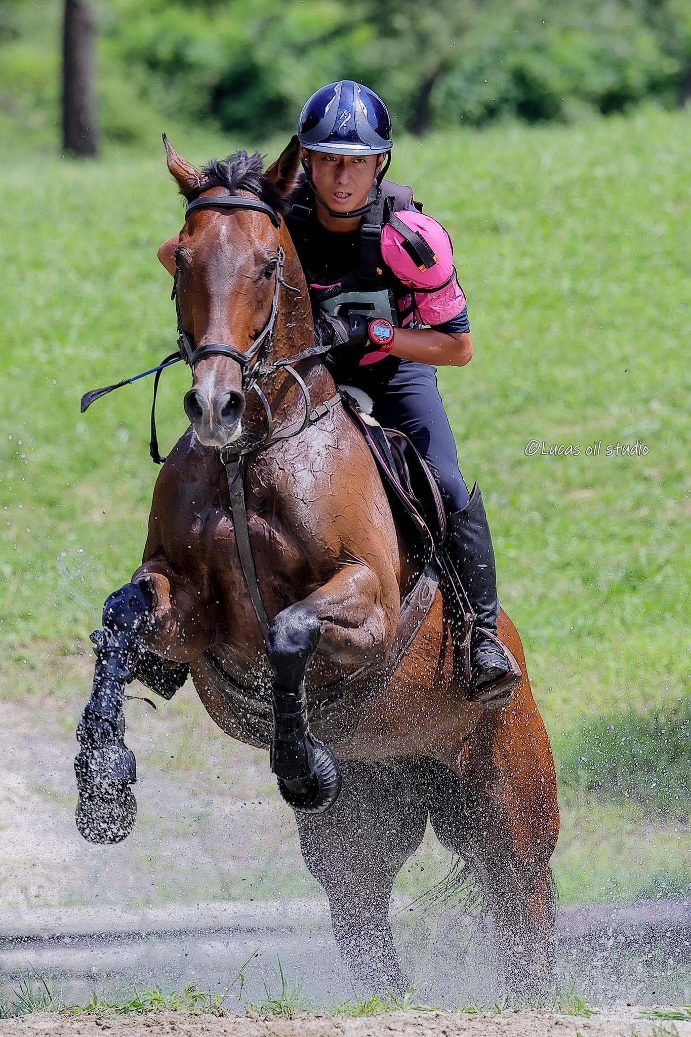 全日本総合馬術大会新種目「内国産」で菅原権太郎選手（水沢出身）優勝