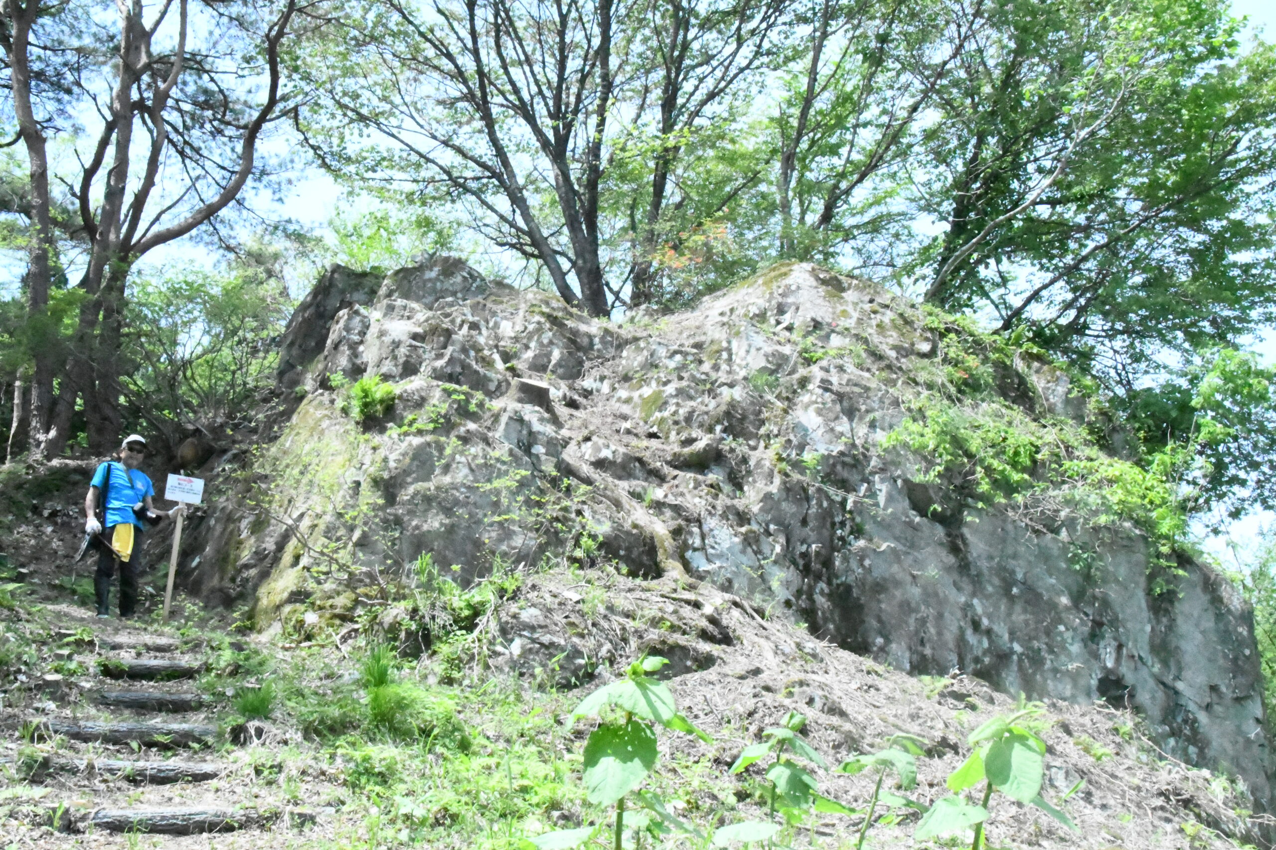 経塚山の「猫石」新名所に、覆った草木を地元住民が刈り払い旧登山道も復活整備（前沢・赤生津活性化協）