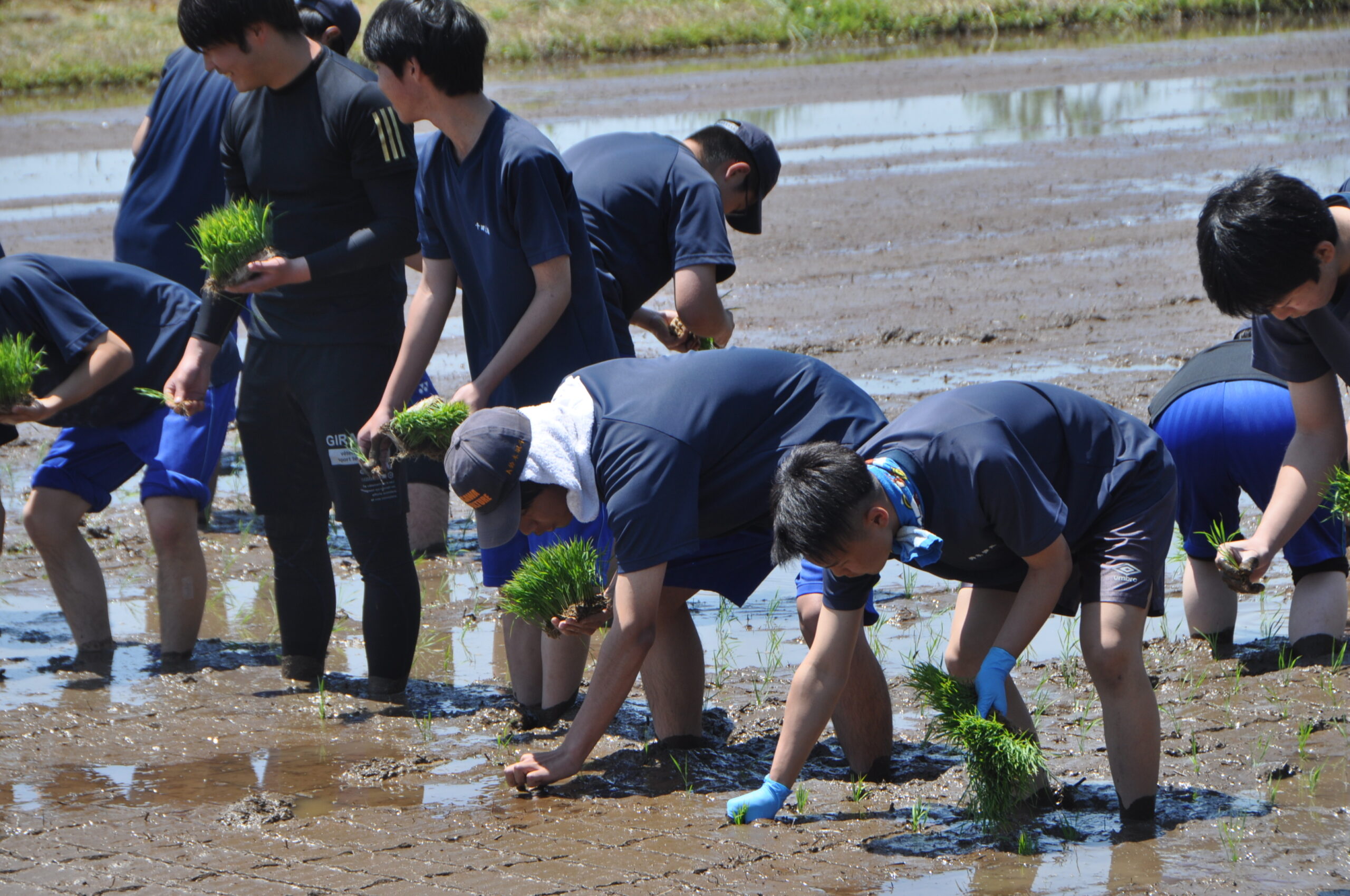 全日本田植選手権  会場に使用してきたほ場　安全確保難しく  惜しまれつつ終了（水沢農業高）