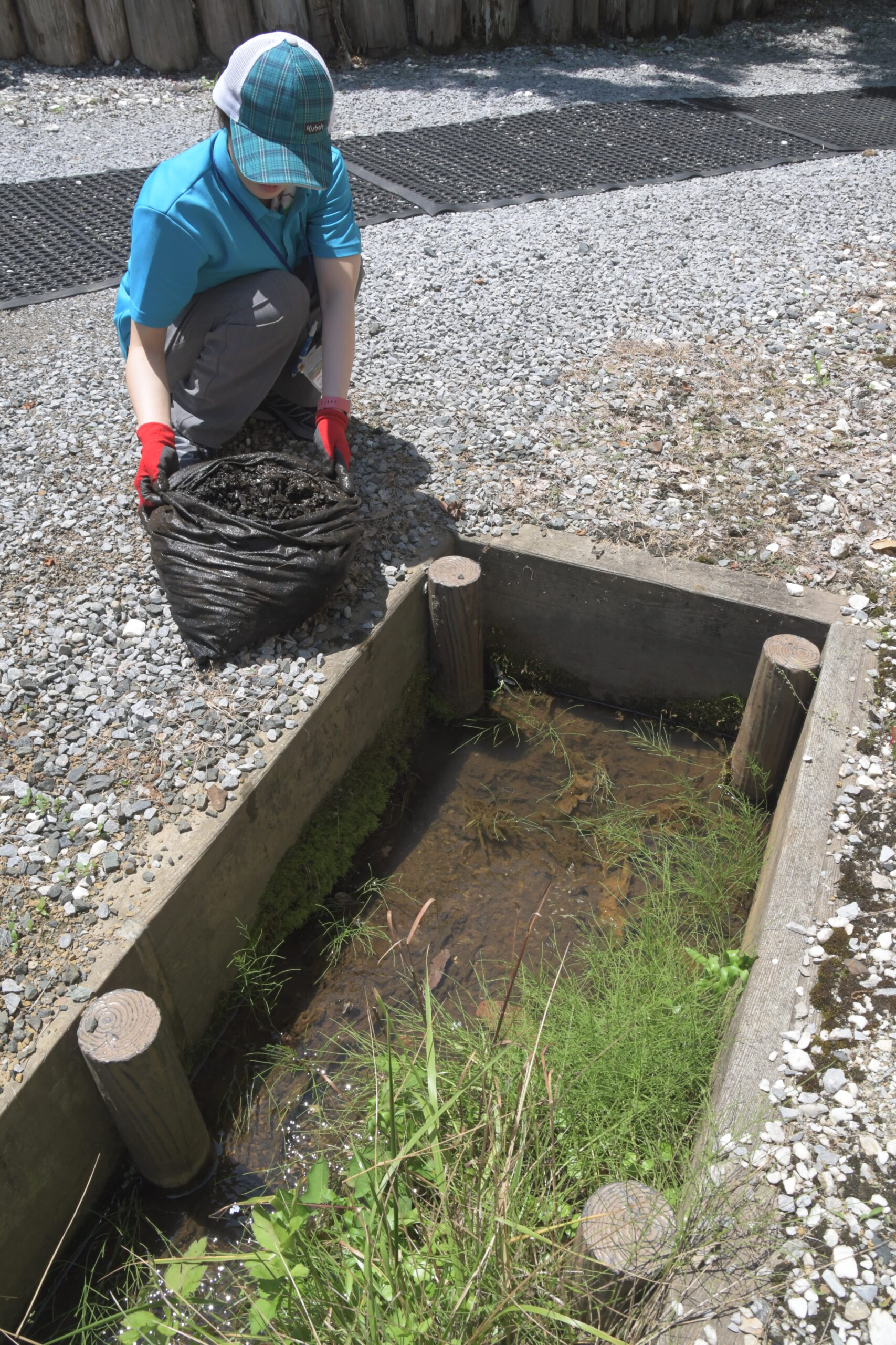 竹を再利用し水路浄化  あすからホタル鑑賞会（えさし藤原の郷）