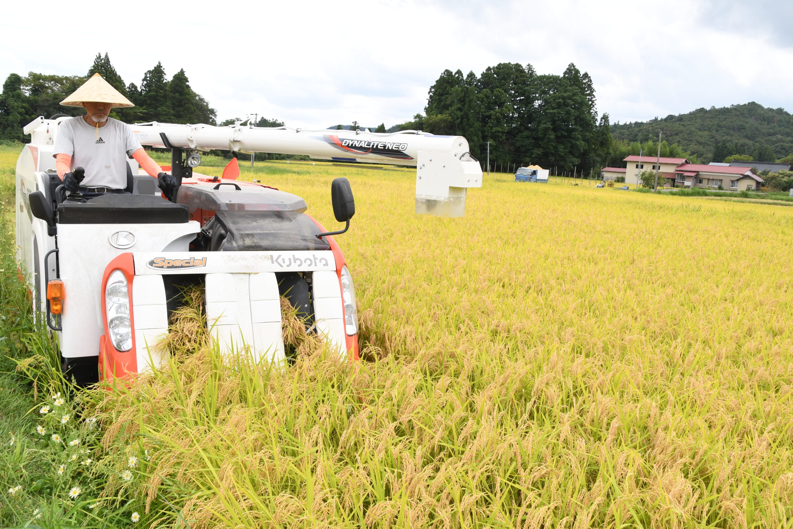 高温影響　出来秋早くも、稲刈りシーズン到来　胆江2JA「適期」呼びかけ