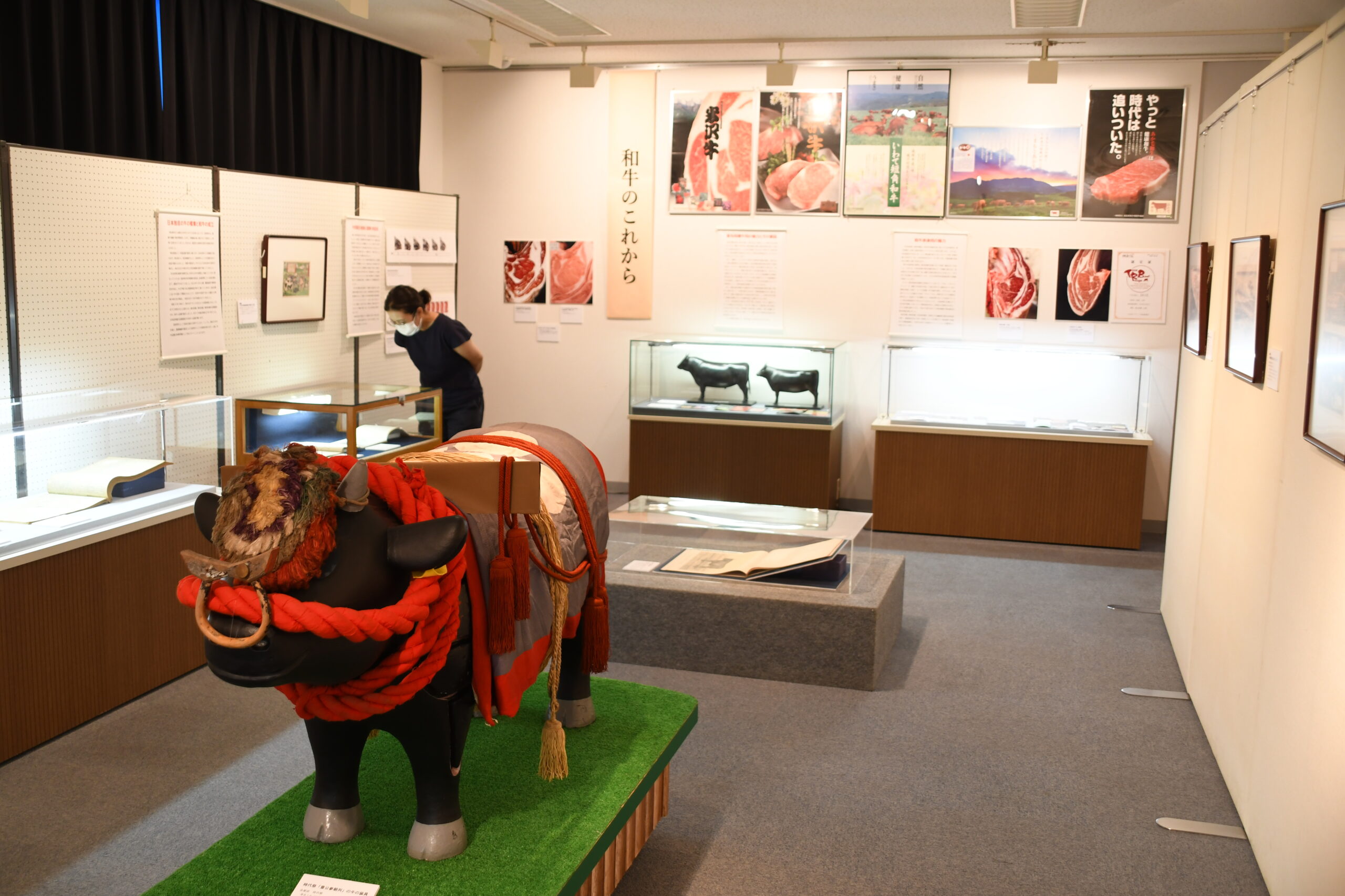 開館30周年・牛の博物館が企画展、海外も注目「和牛」   特徴や改良の歴史解説