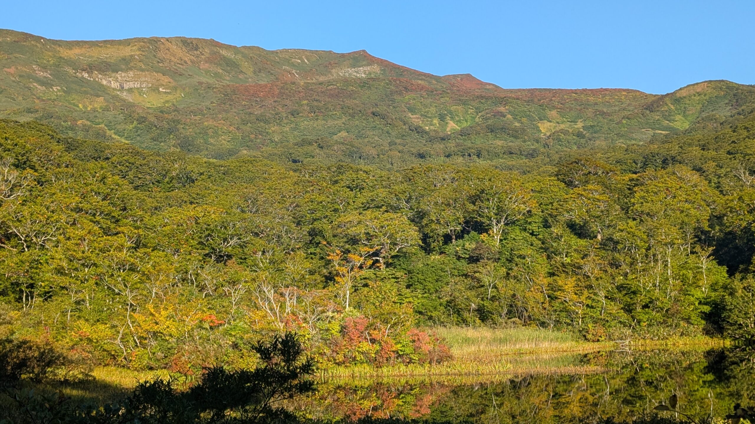 「二百名山」焼石岳頂上周辺 錦秋鮮やか登山客魅了
