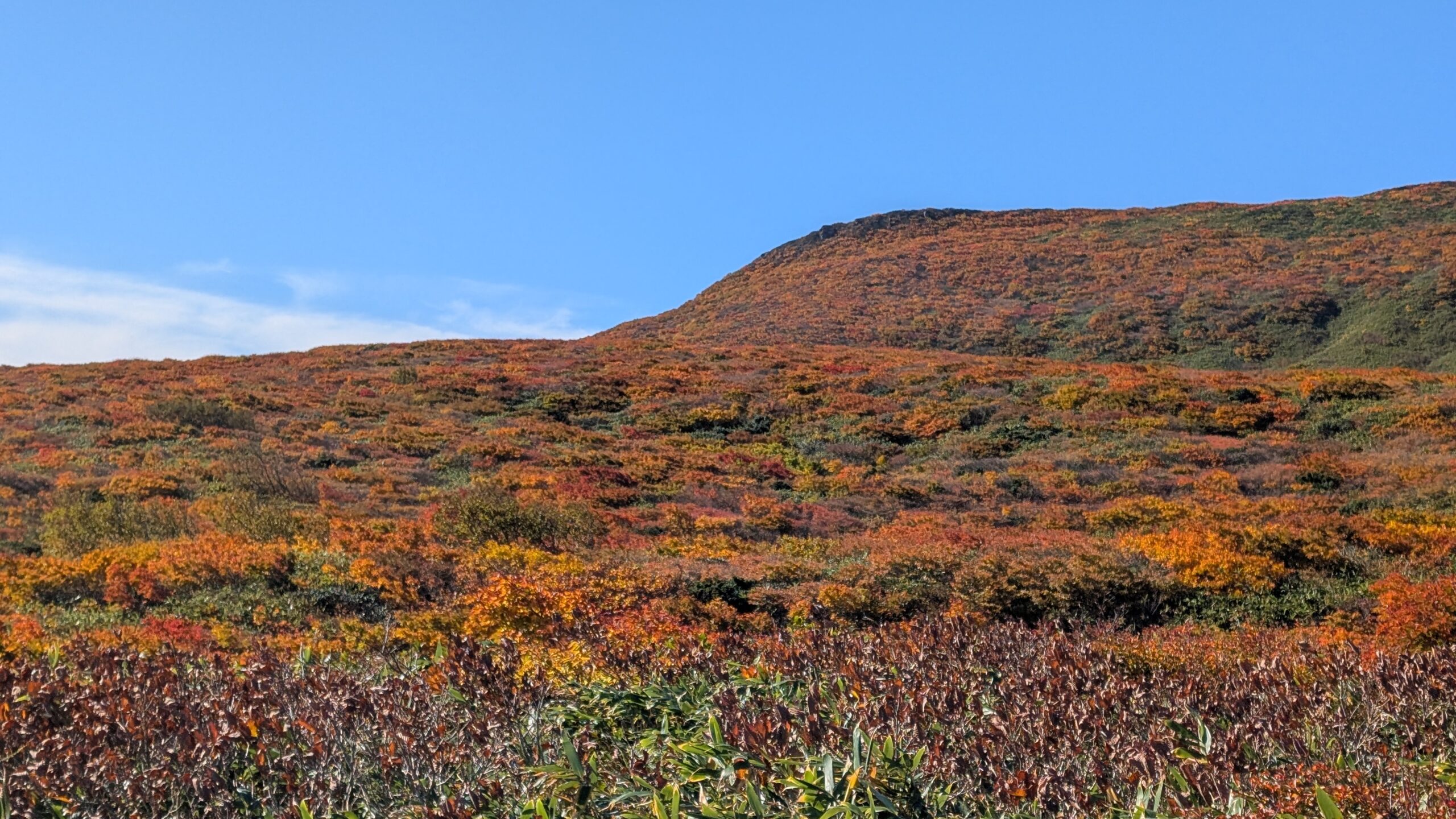 「二百名山」焼石岳頂上周辺 錦秋鮮やか登山客魅了