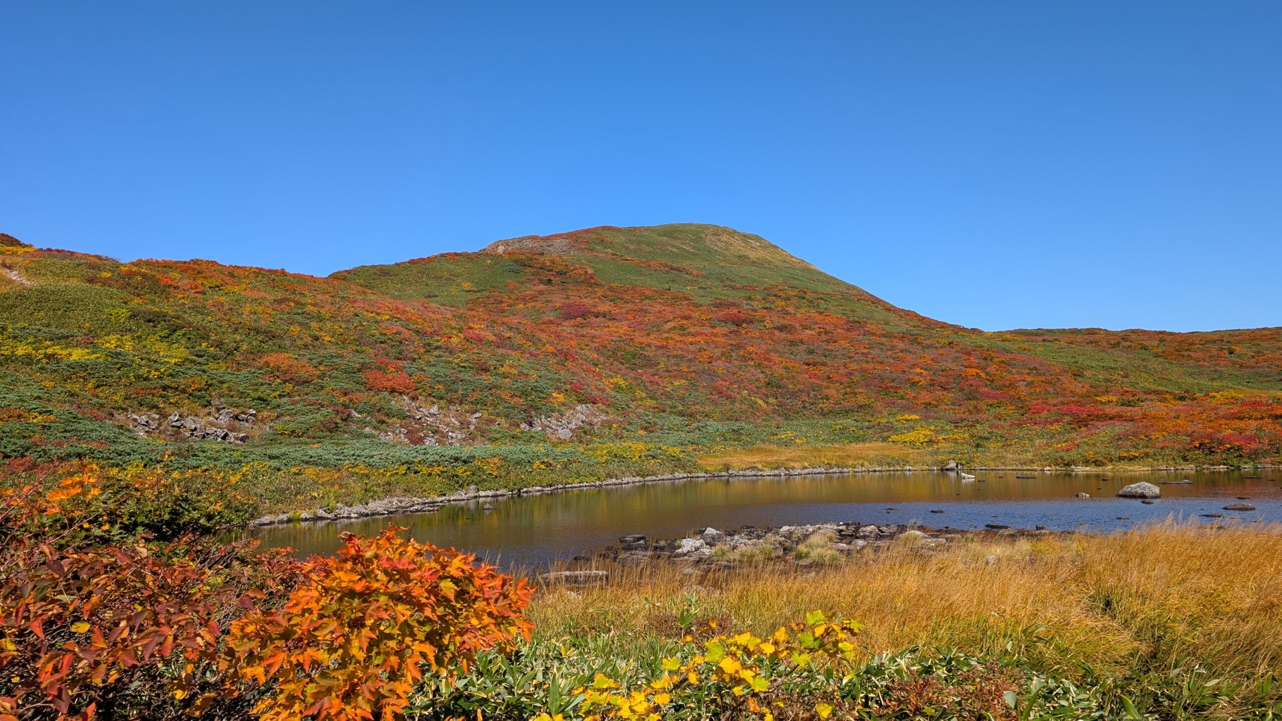 「二百名山」焼石岳頂上周辺 錦秋鮮やか登山客魅了