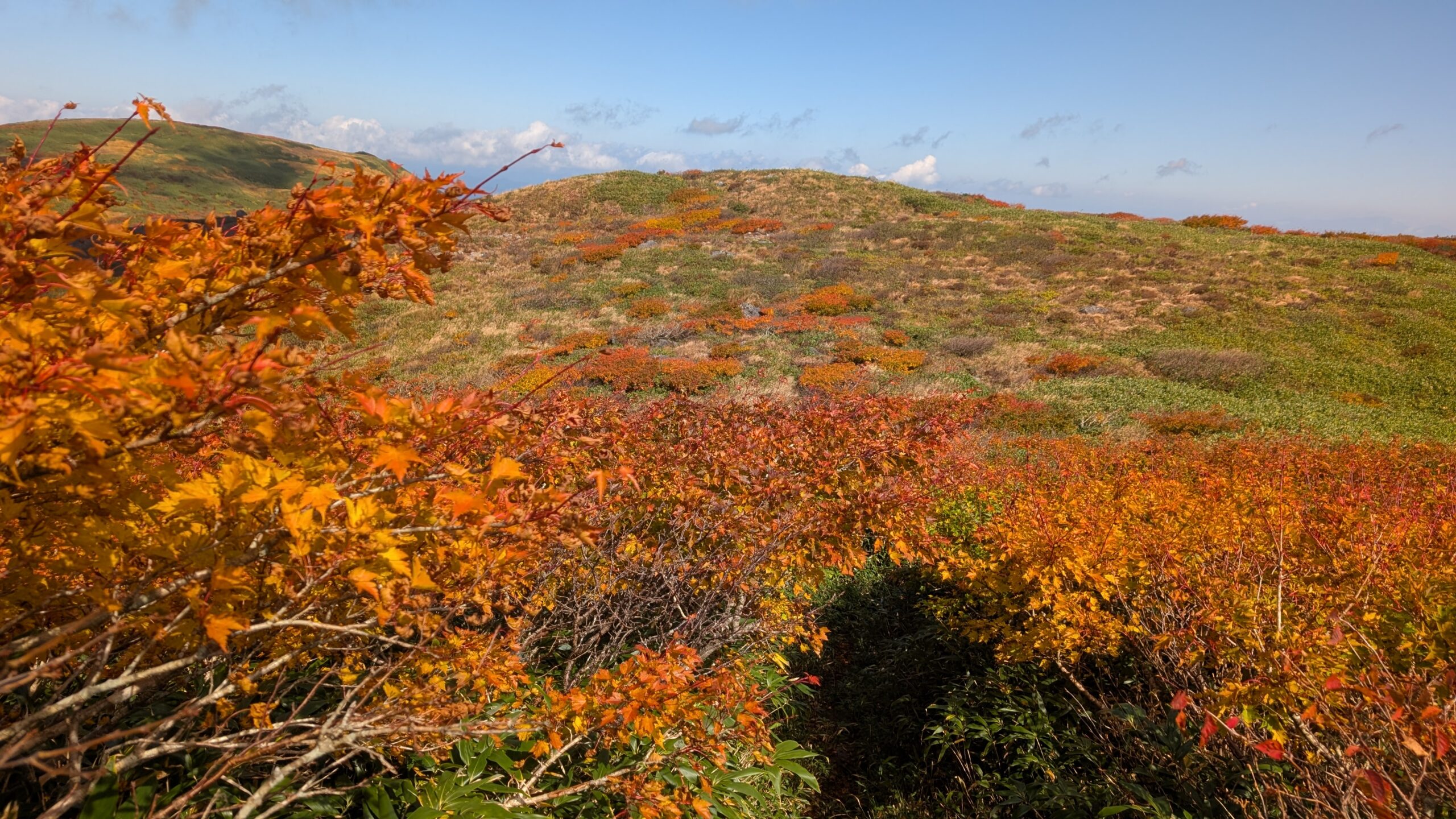 「二百名山」焼石岳頂上周辺 錦秋鮮やか登山客魅了