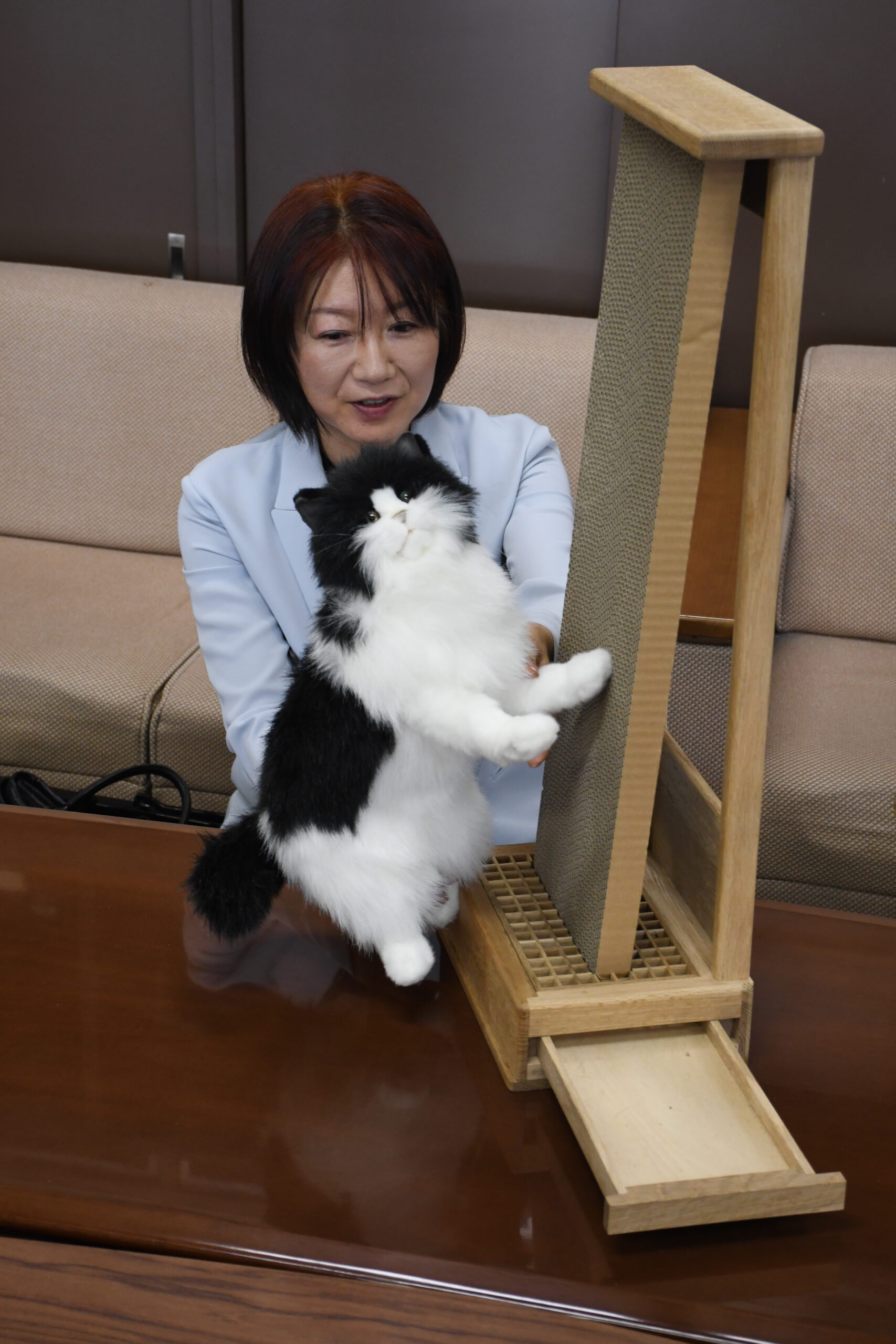 岩谷堂箪笥の技　猫市場へ、及川さん（江刺）とこだわり詰まる「爪とぎ」製造（盛岡の企業販売）