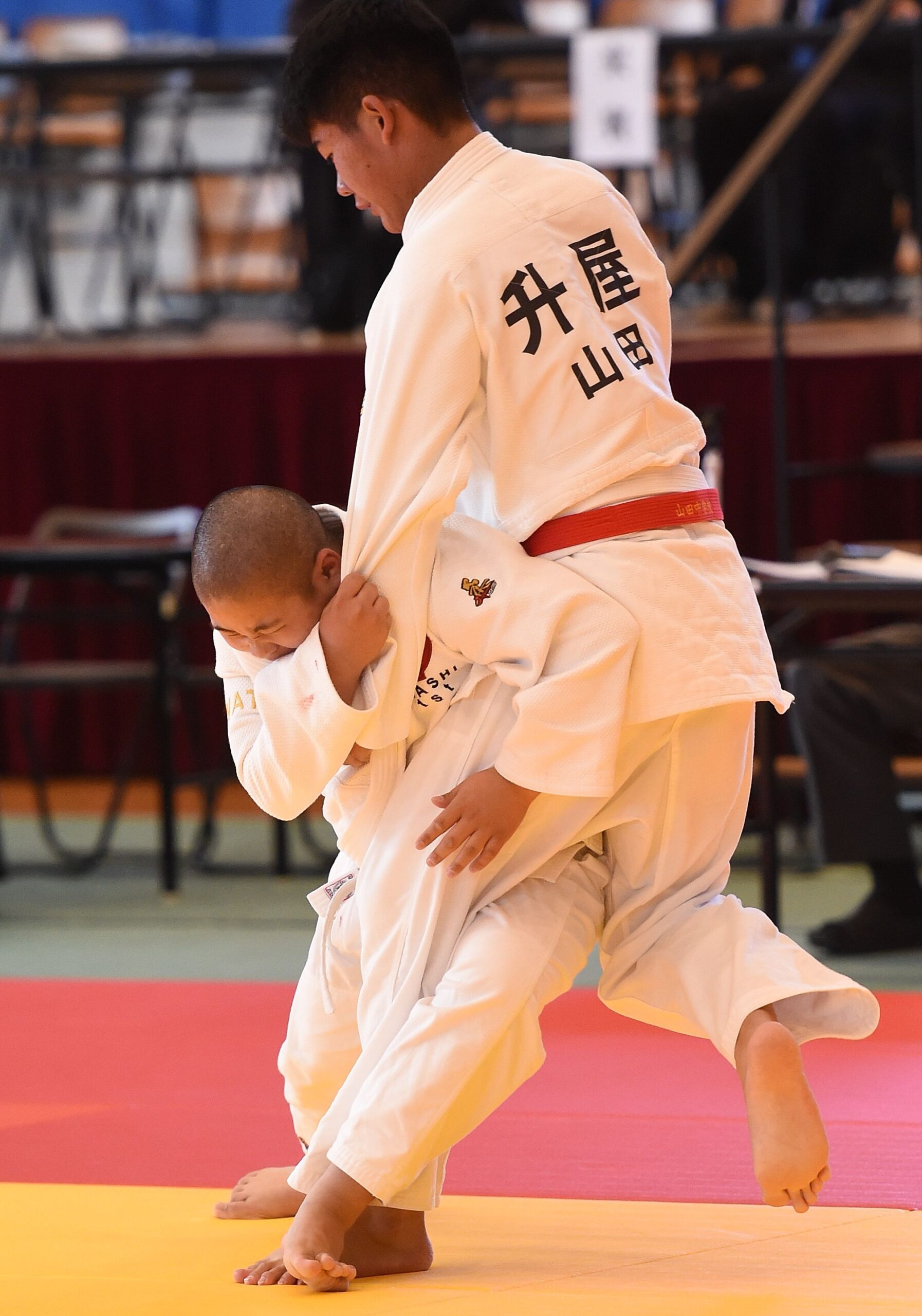 ◎スポーツHP版＝11/20付　県中学校新人大会/県フットサルリーグなど