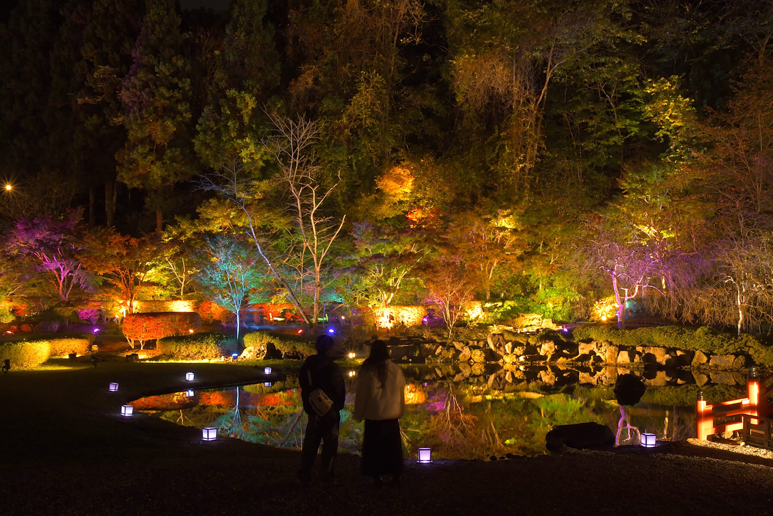 錦織り成す秋　幻想的、色づく木々ライトアップ（えさし藤原の郷）