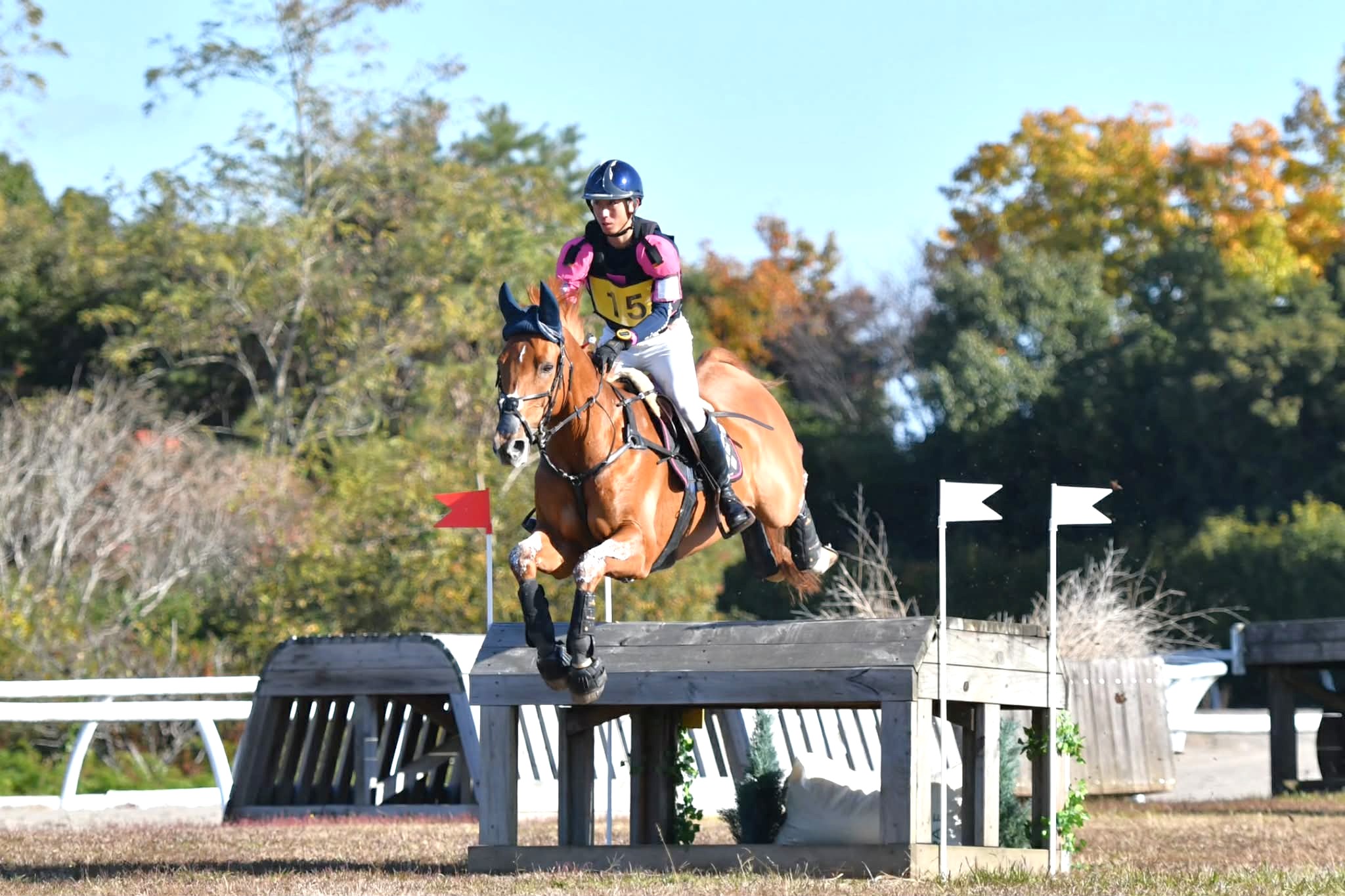 菅原権太郎選手（水沢出身、日大職員） 全日本総合馬術で２位  “相棒”の急死乗り越え