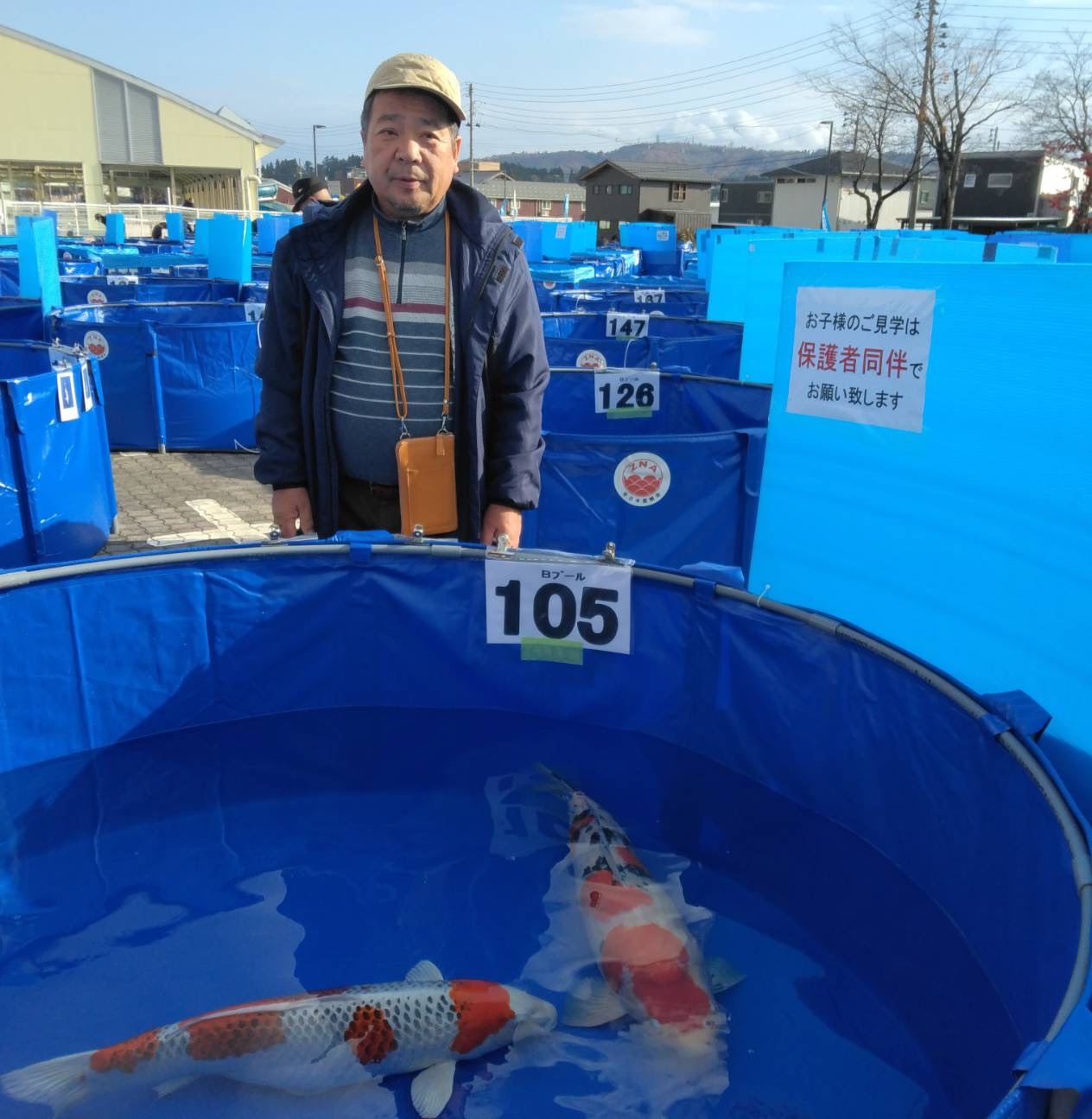 錦鯉で地域振興を　養殖取り組む佐藤信治さん（衣川）思い込め育て全国優勝
