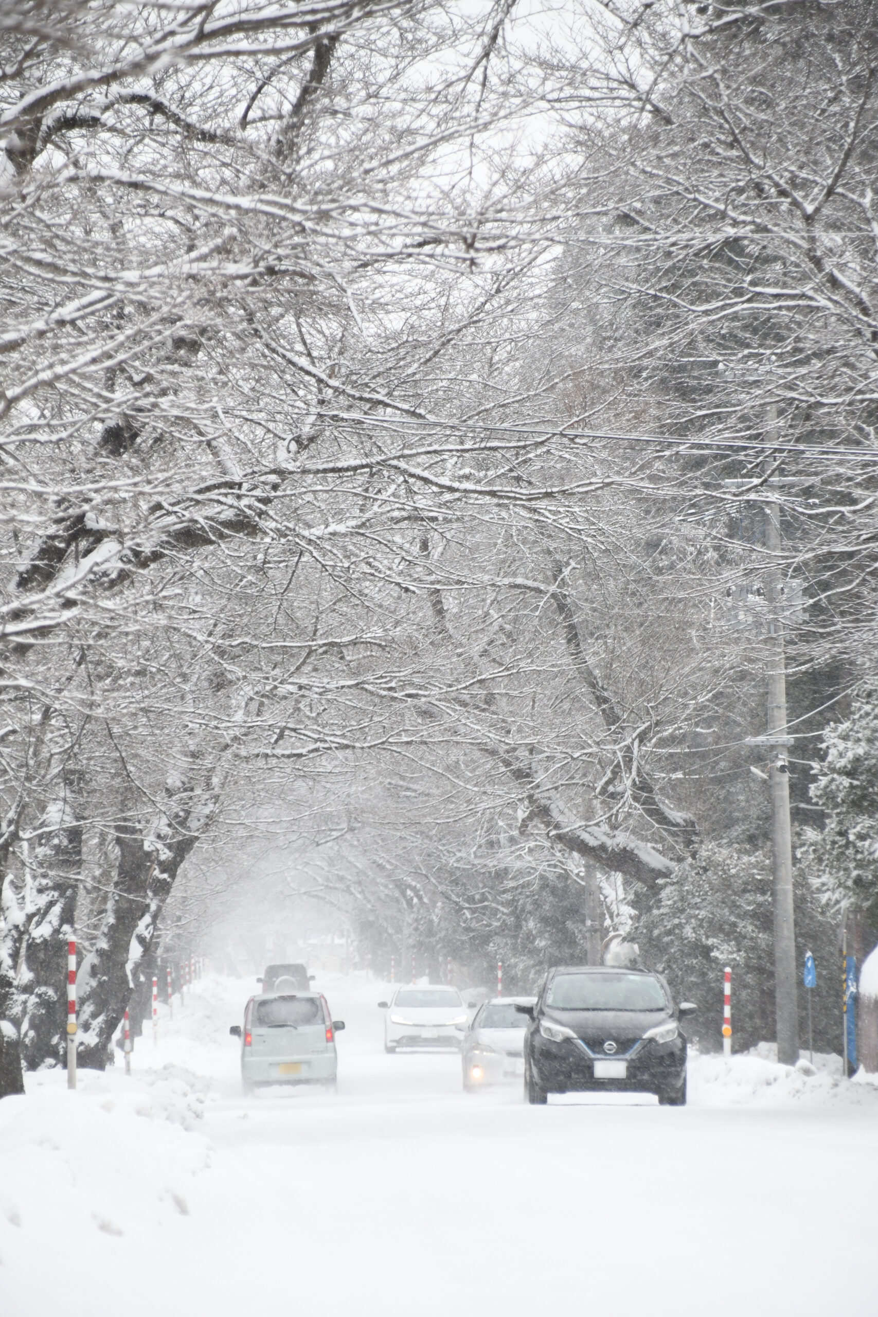 20日は大寒、冷え込みぐっと “雪の回廊”現る
