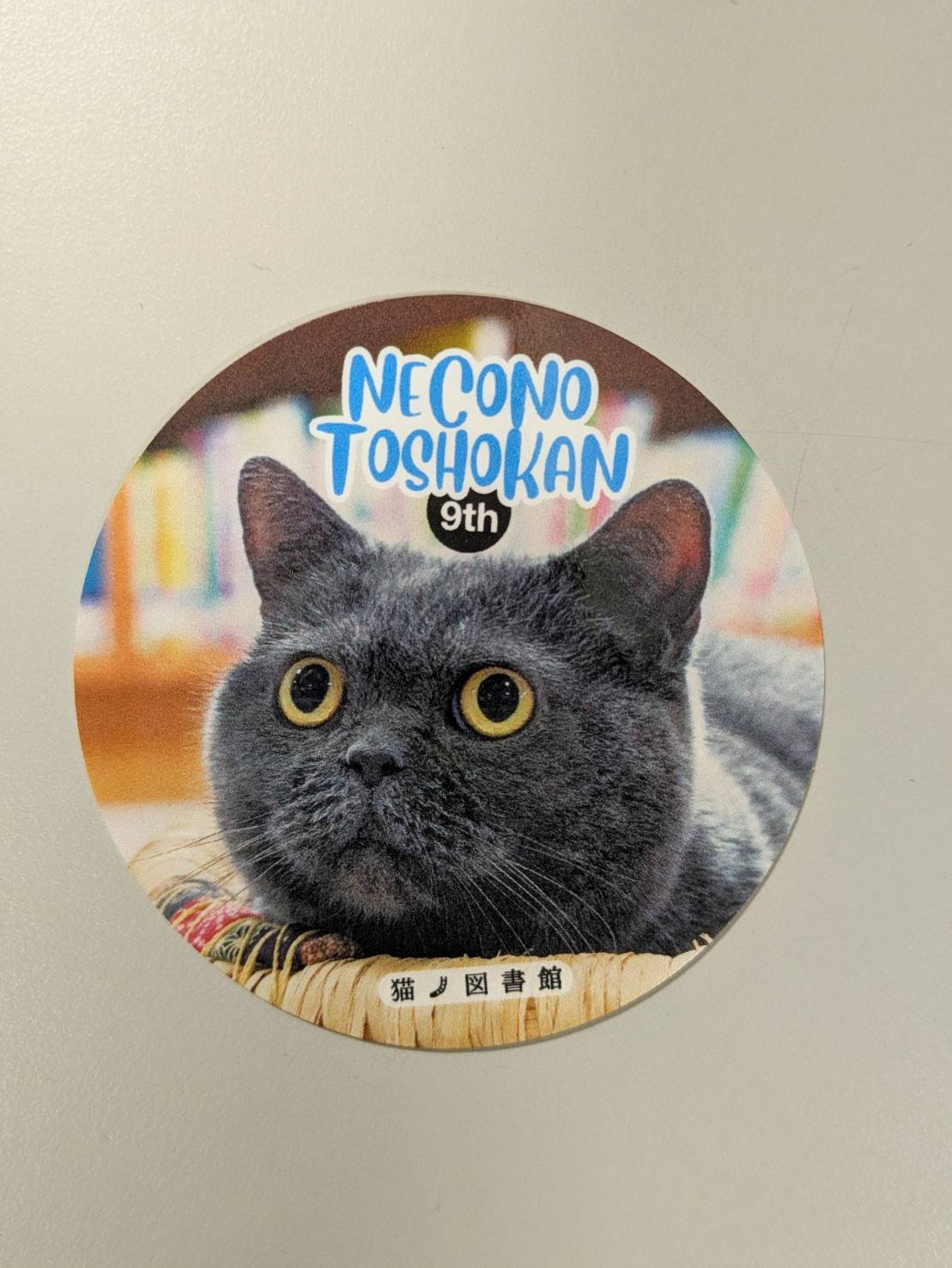 猫ノ図書館が９周年  きょうから記念イベント（胆沢）