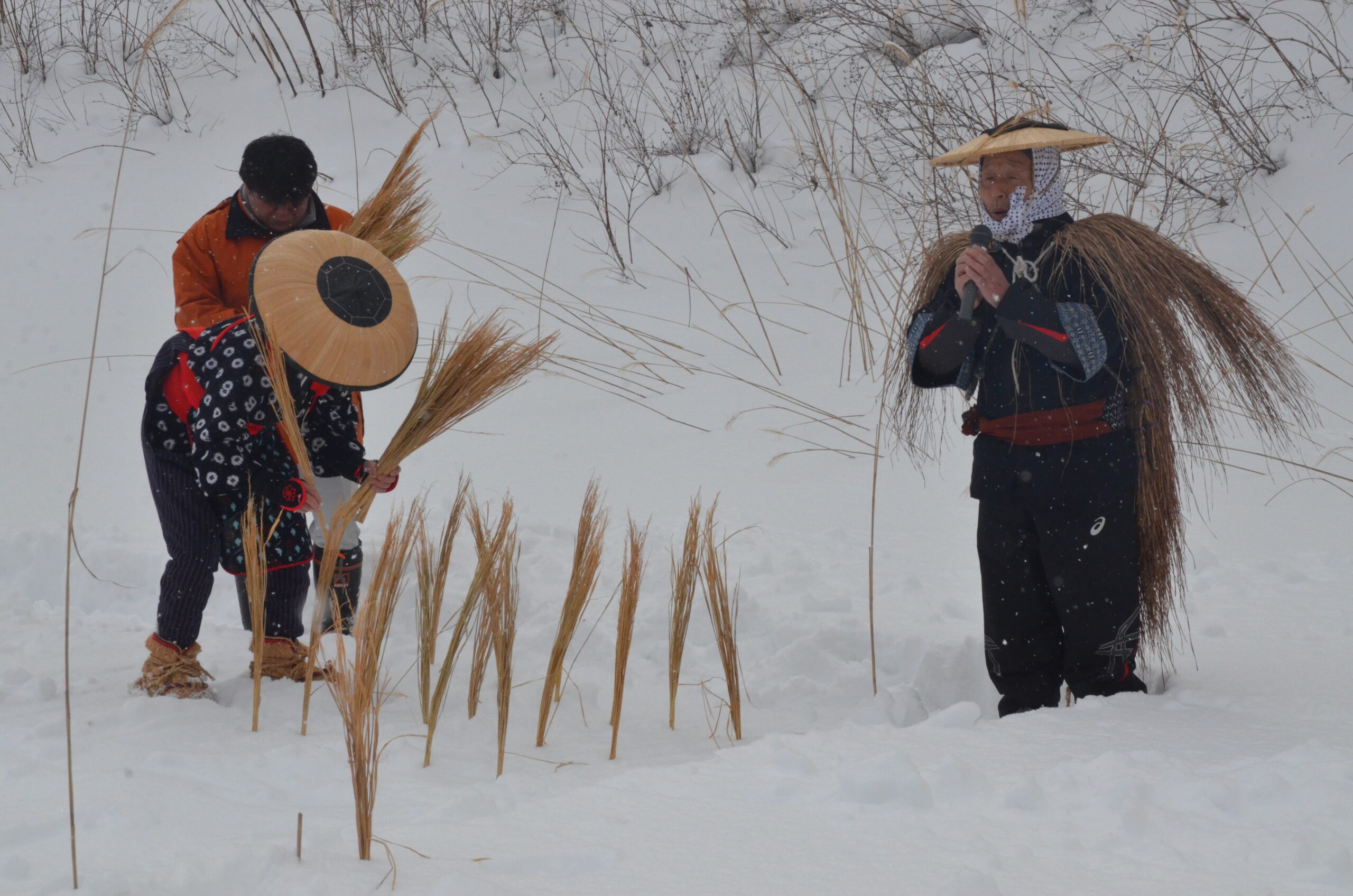 農はだて絶やすまい、雪まつりで「庭田植え」（胆沢）