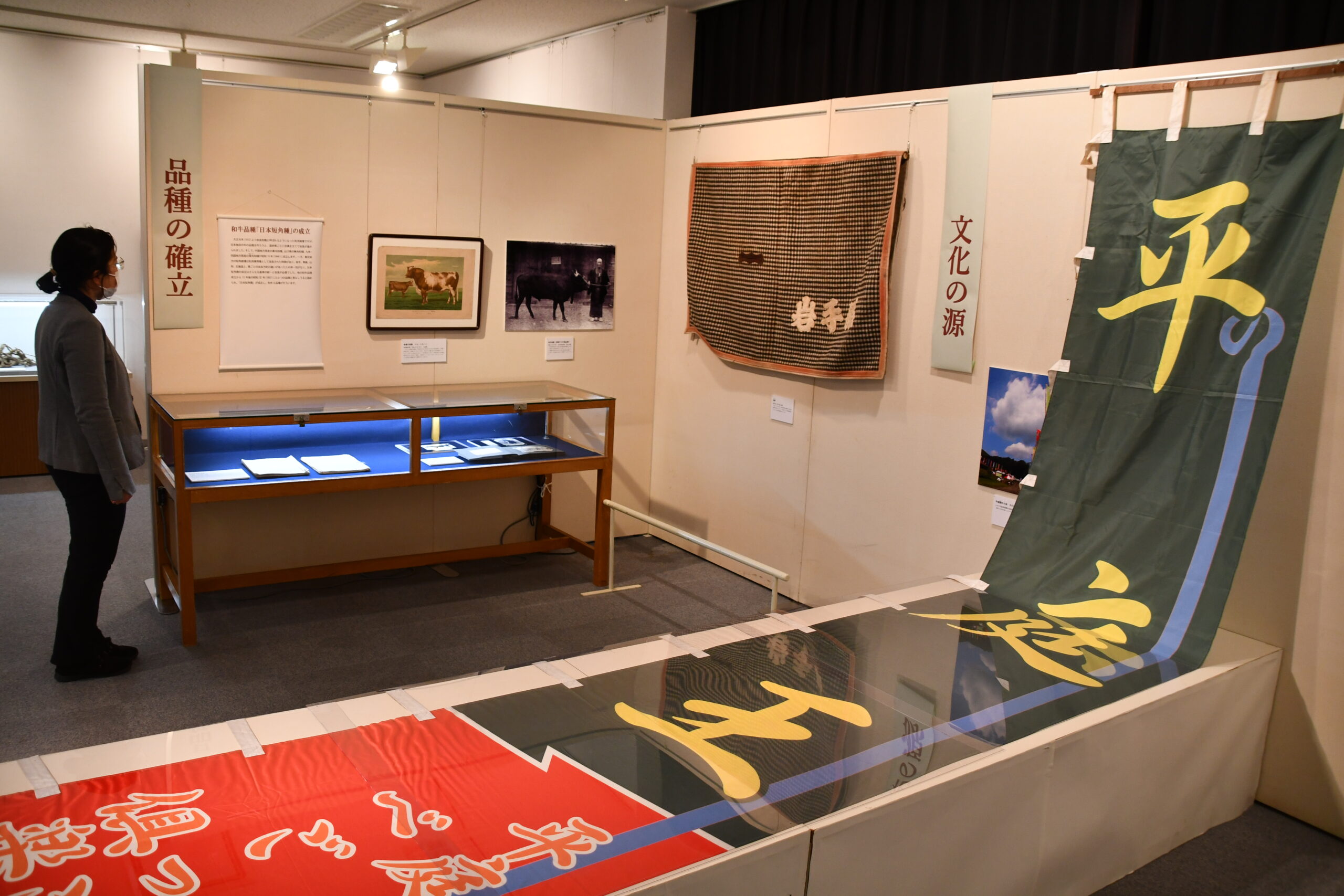 親しもう日本短角種（前沢・牛の博物館30周年、リニューアルに合わせ企画展）