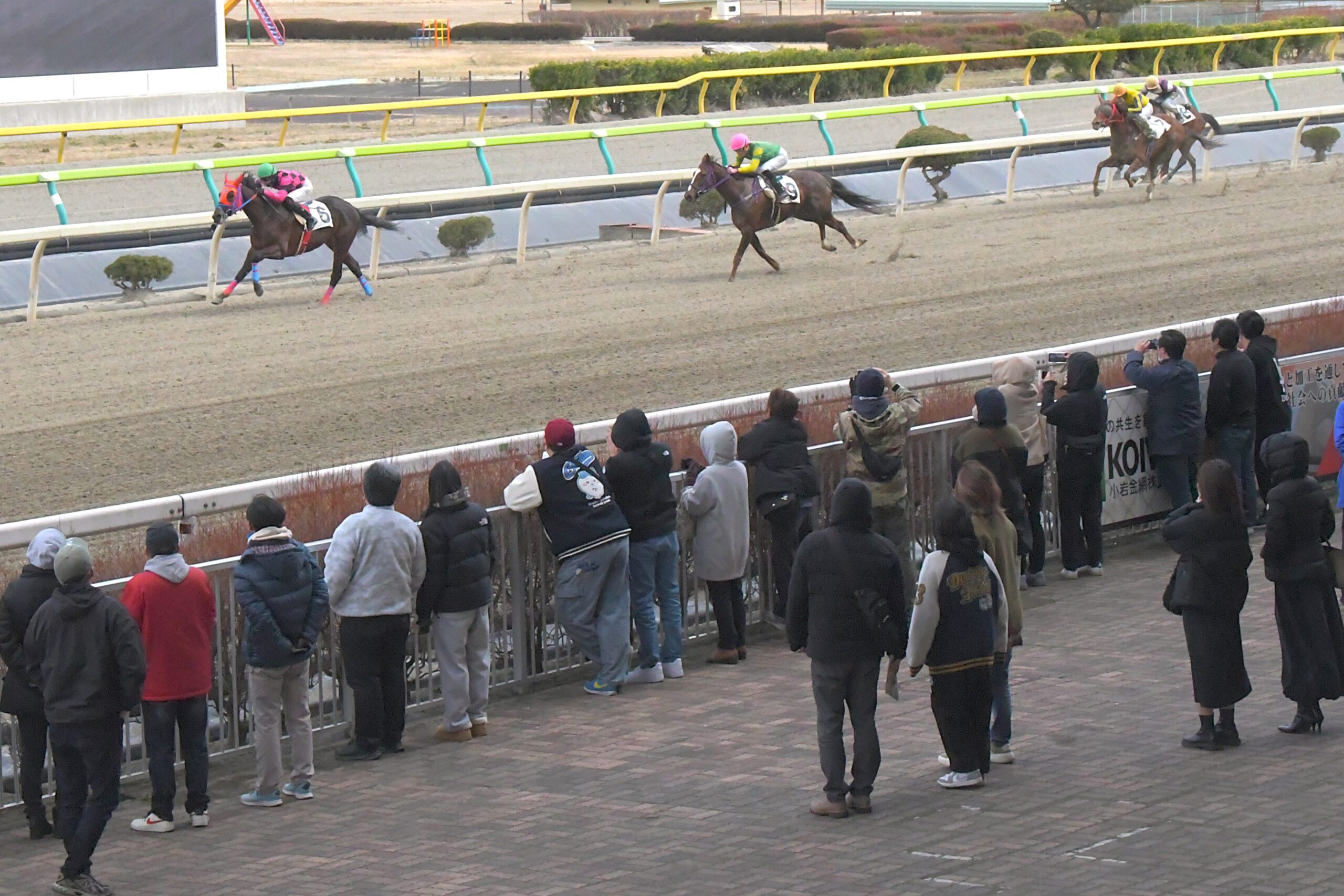 寒風なんの春競馬 水沢 ファンらでにぎわう