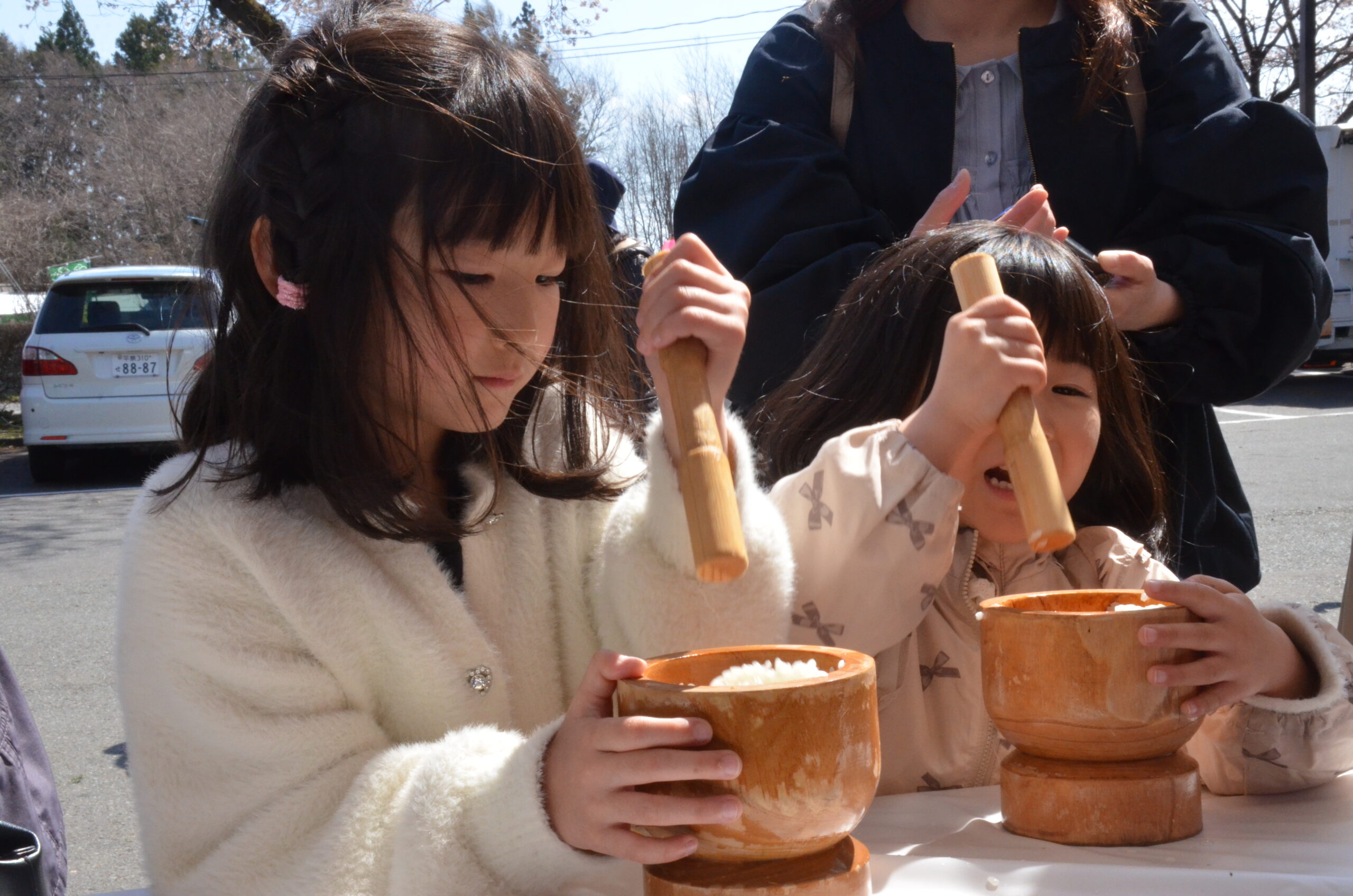 春うらら 桜まつり 家族連れでにぎわう（胆江）