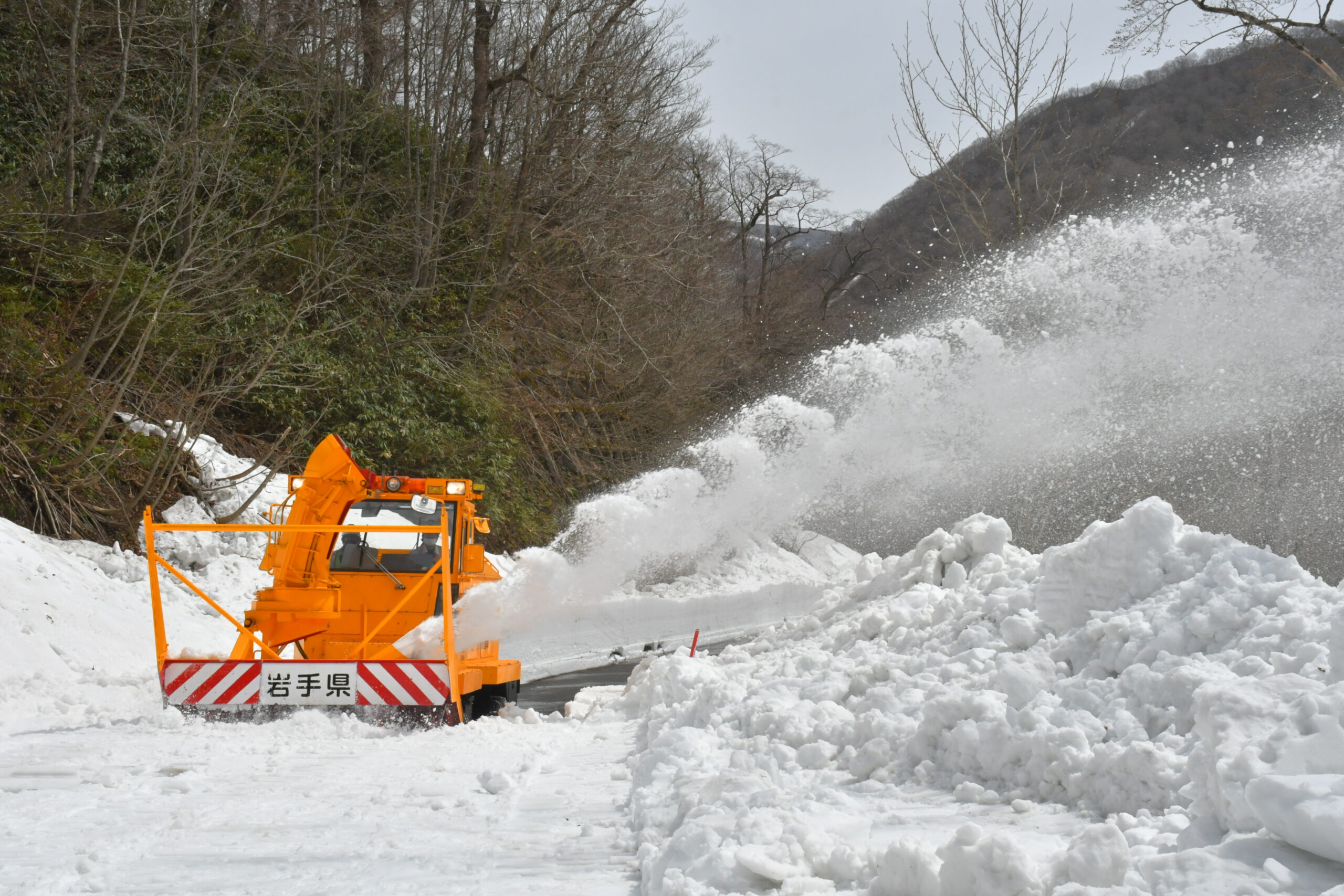 除雪着々　山にも春 国道３９７号県境ルート（胆沢若柳）