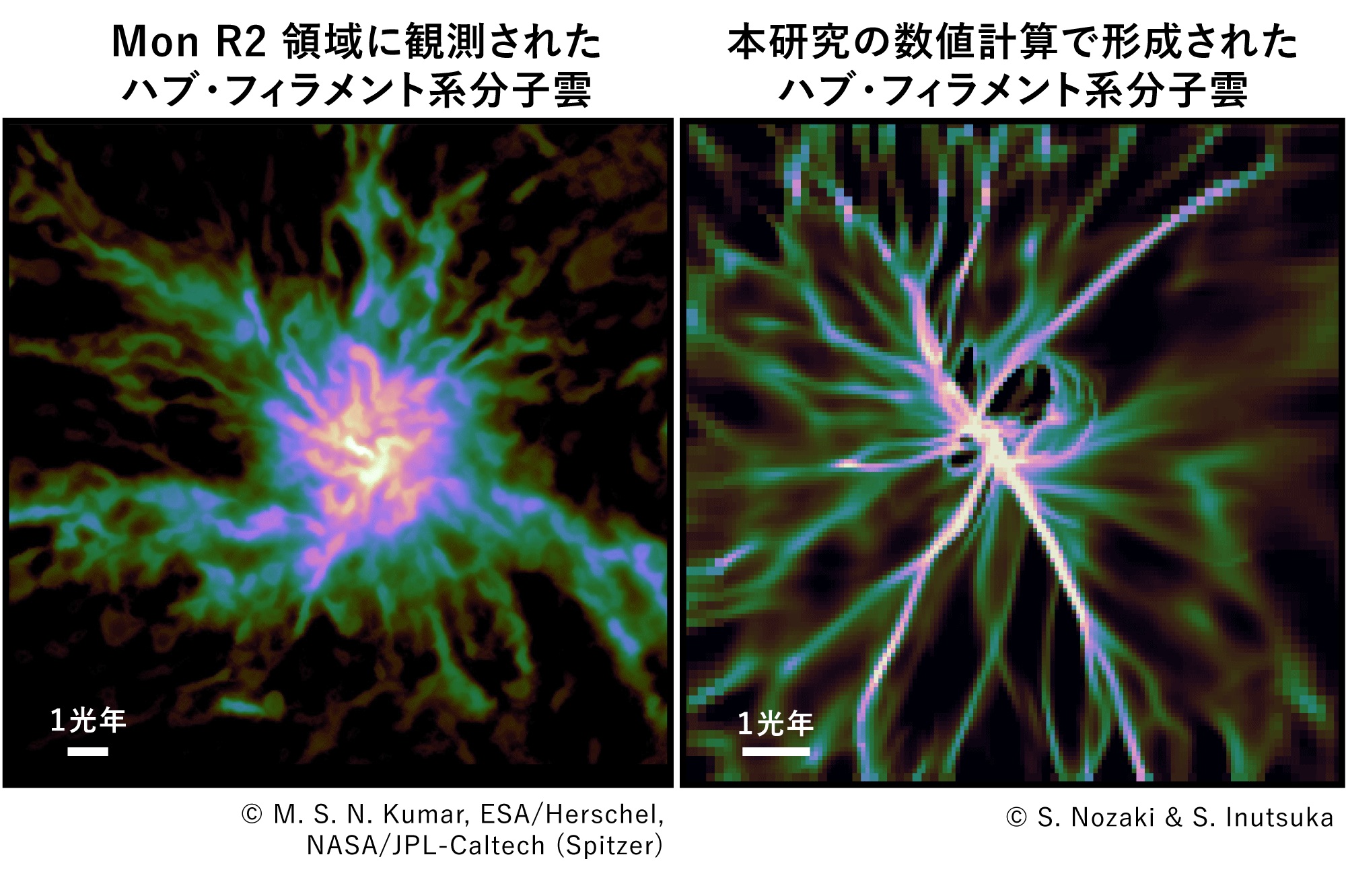 “星のゆりかご”起源に迫る
