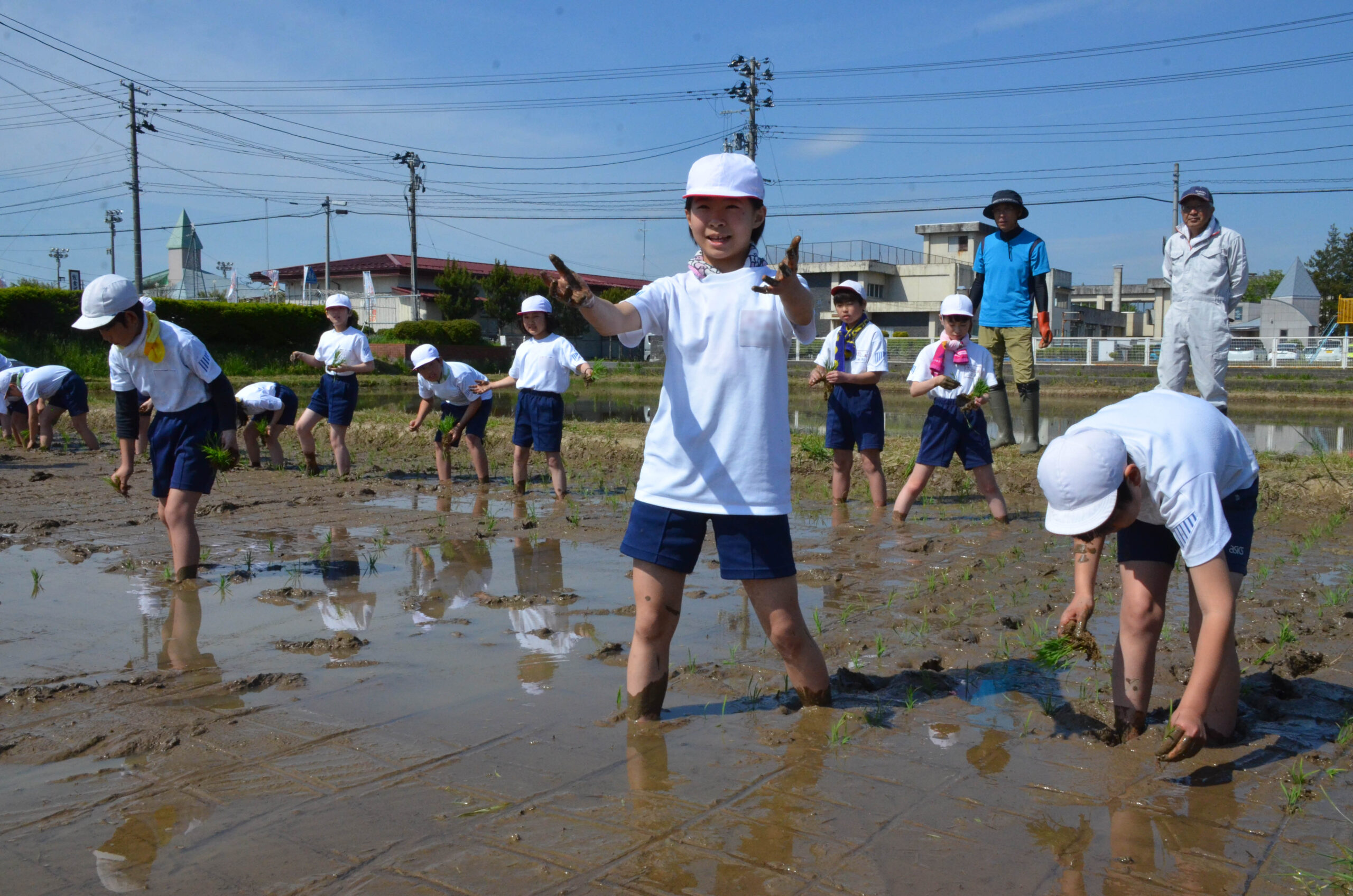 泥んこも何の　米作り体感　田植えに児童挑戦（水沢 ）