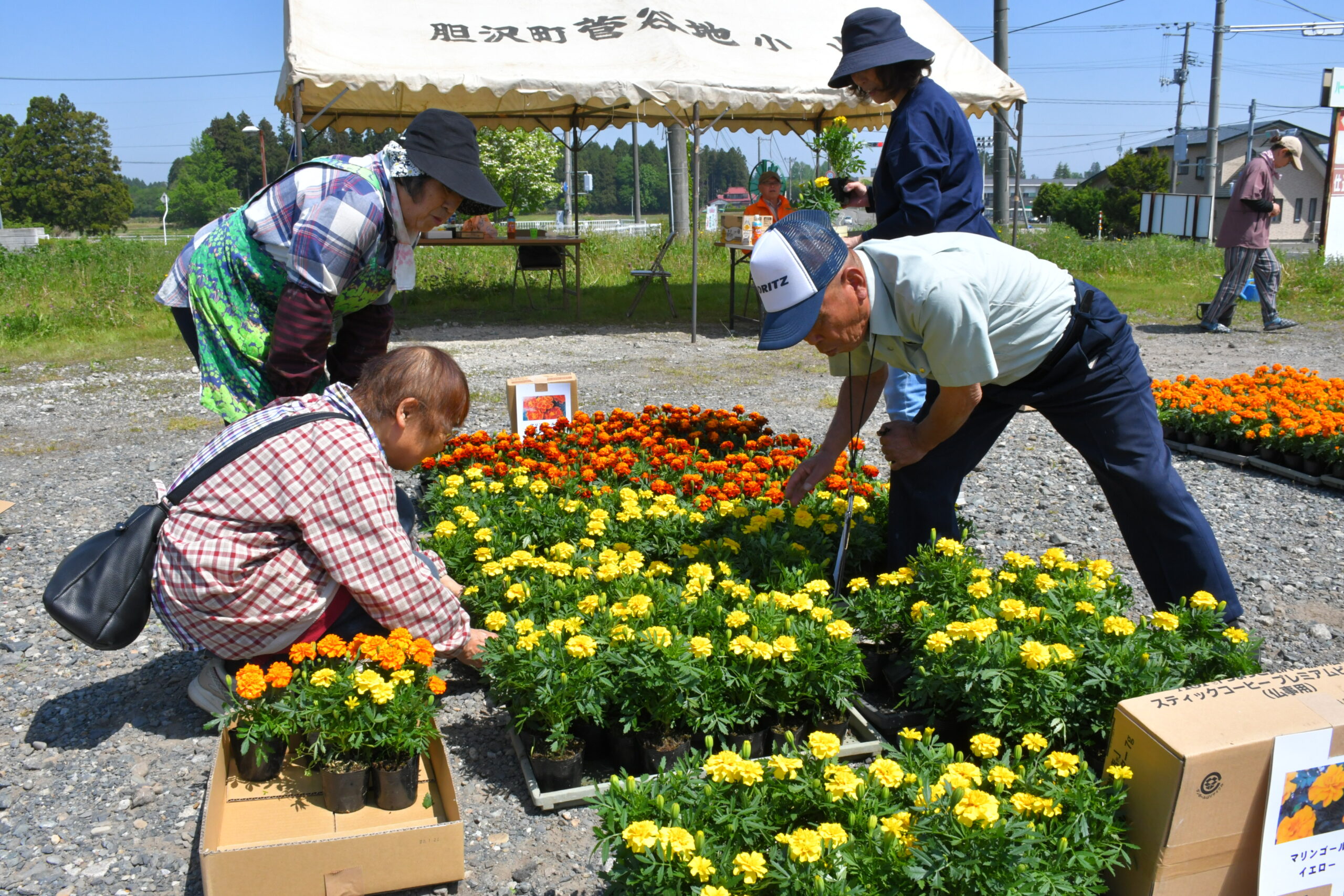 花壇整備続ける住民有志「野美花好仲間」  癒やし届け花苗販売も（胆沢小山）