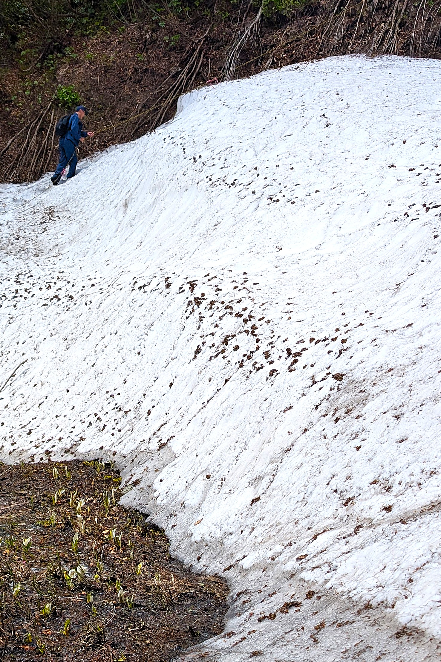 ◎焼石連峰、種山高原、阿原山高原　山開きグラフ