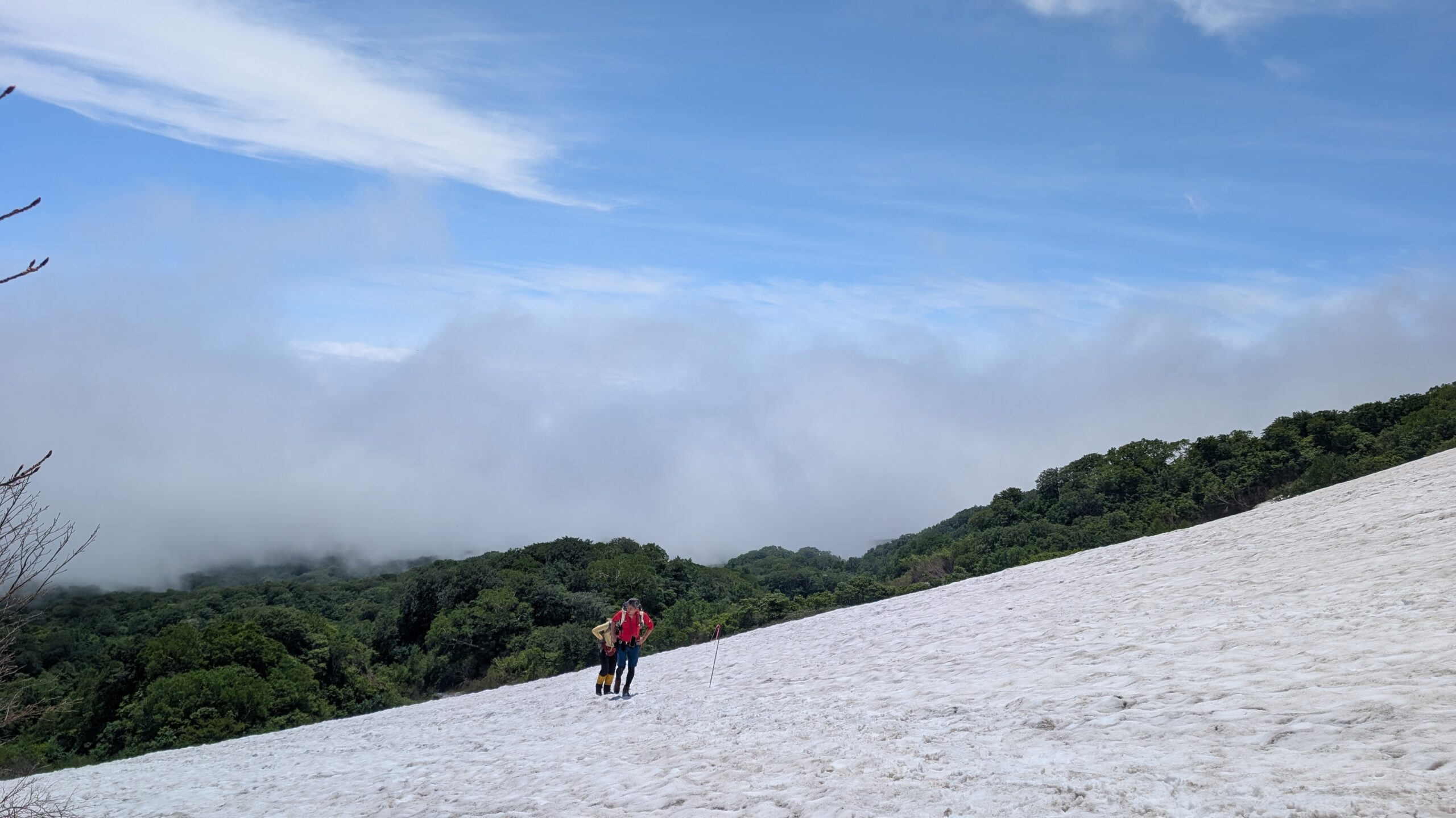 ◎焼石連峰、種山高原、阿原山高原　山開きグラフ