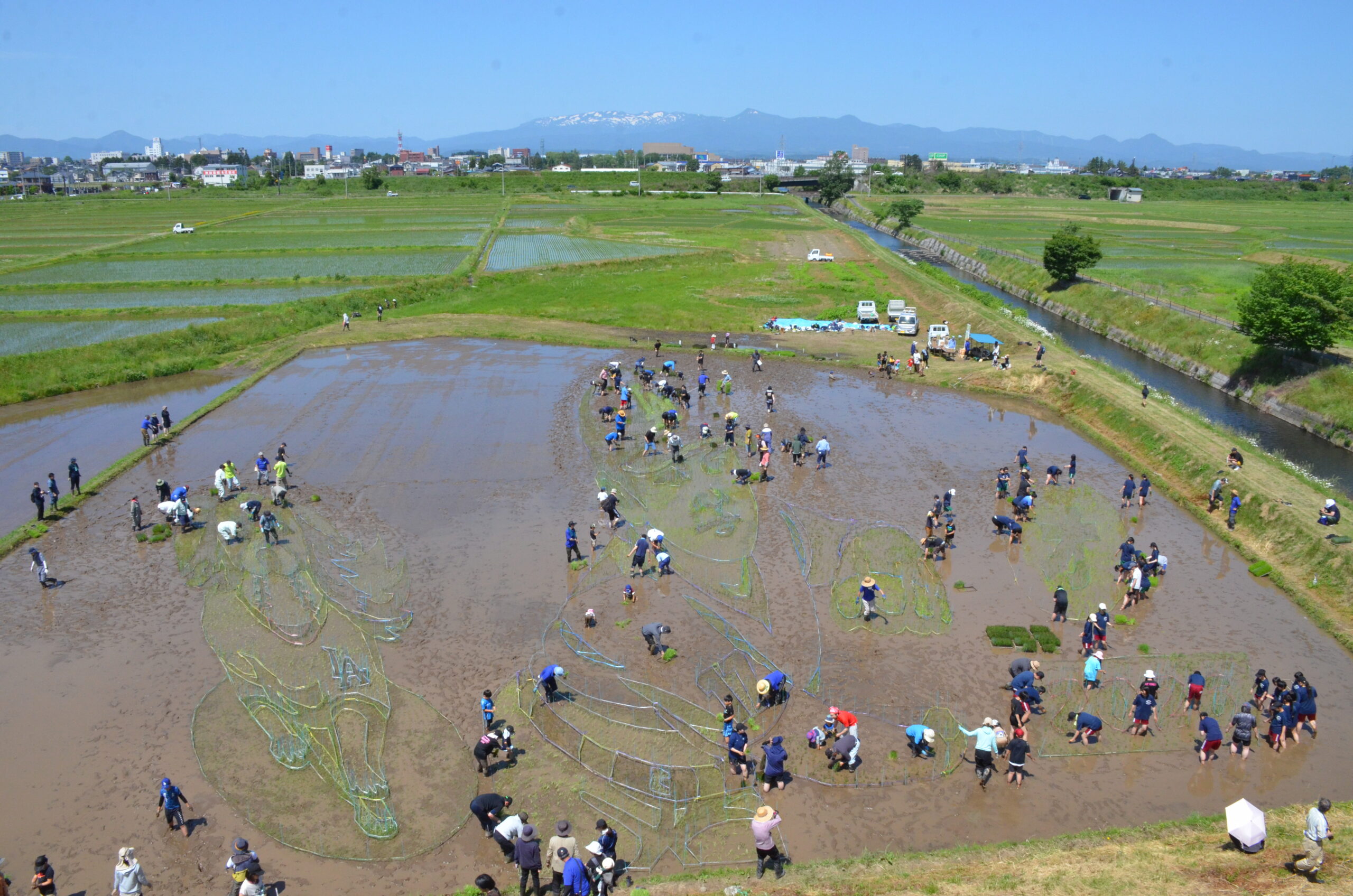描くぞ大谷選手　青空映るキャンバス、跡呂井田んぼアート田植え（水沢）