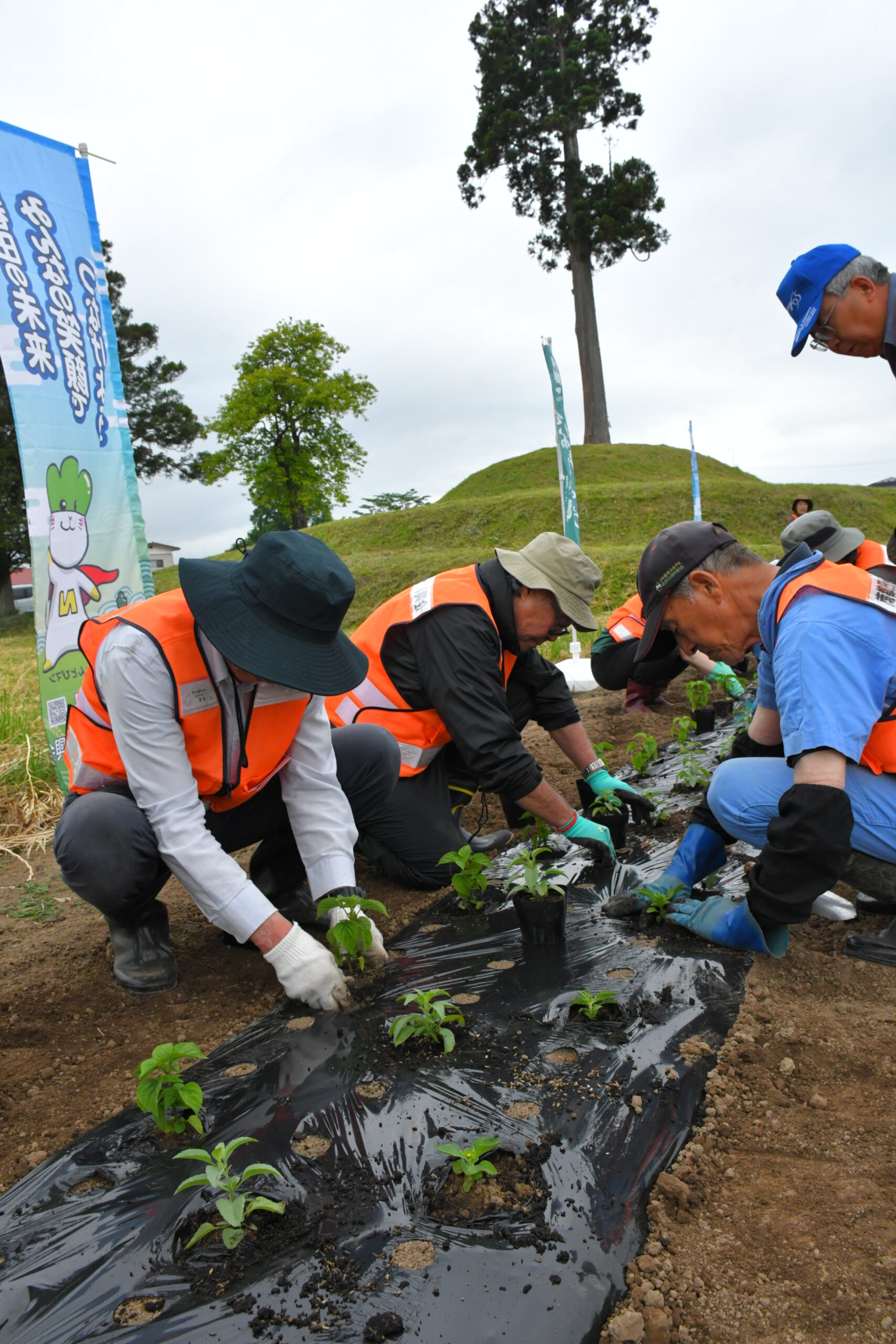 南都田の象徴 華やかに彩れ 花植栽、住民力合わせ360本（胆沢）