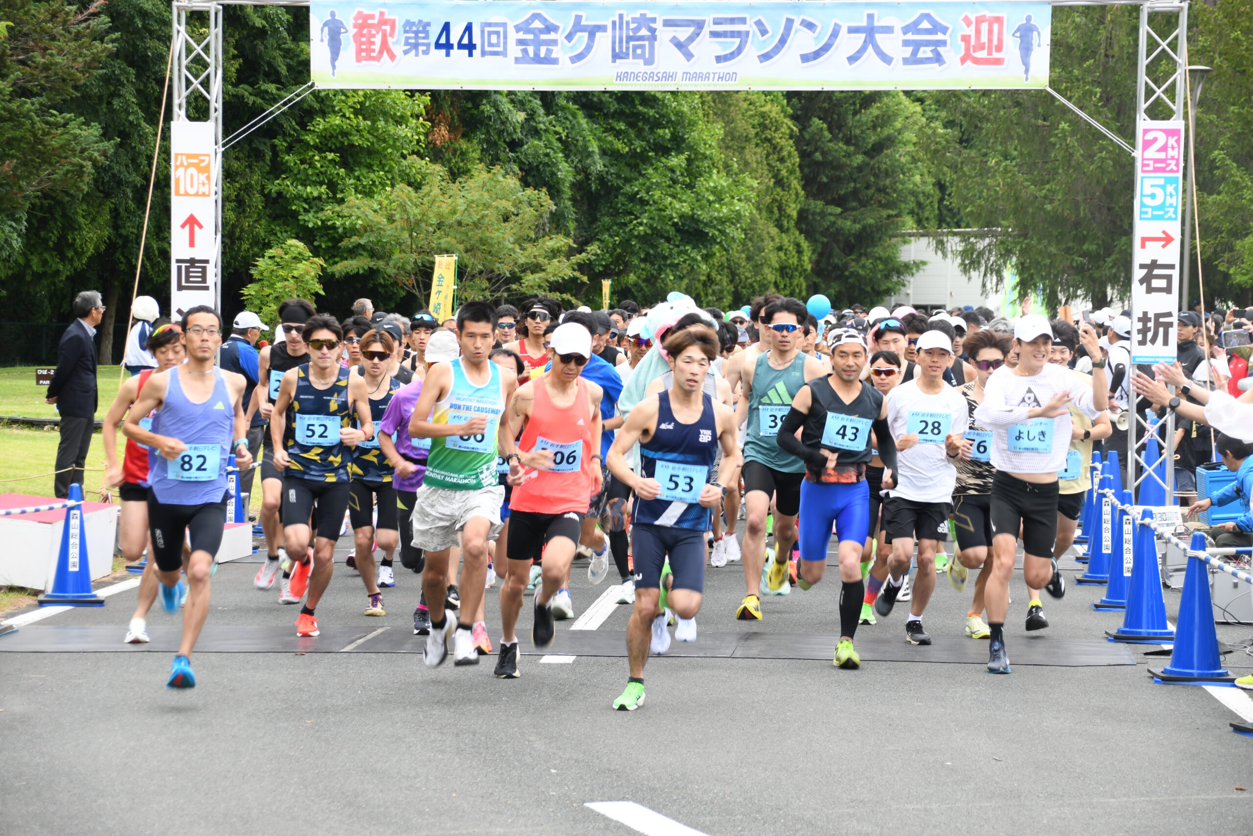 緑鮮やかな金ケ崎路 ランナー駆け抜ける　マラソン大会1731人出場