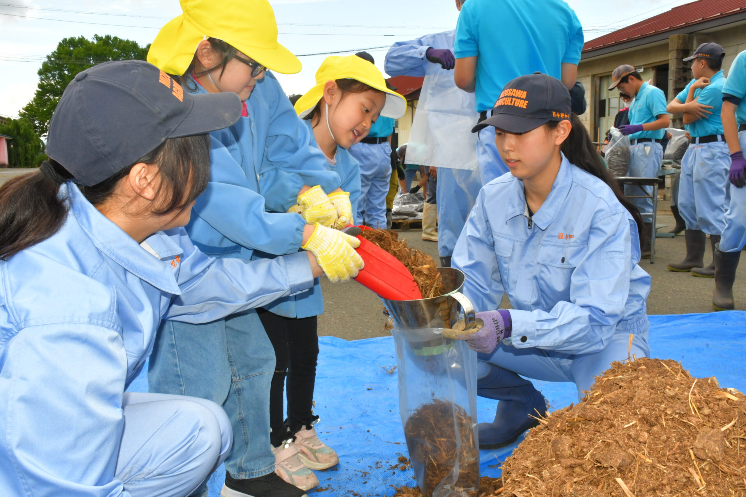 飼育牛のふん→堆肥化→地域活動へ（水沢農高）