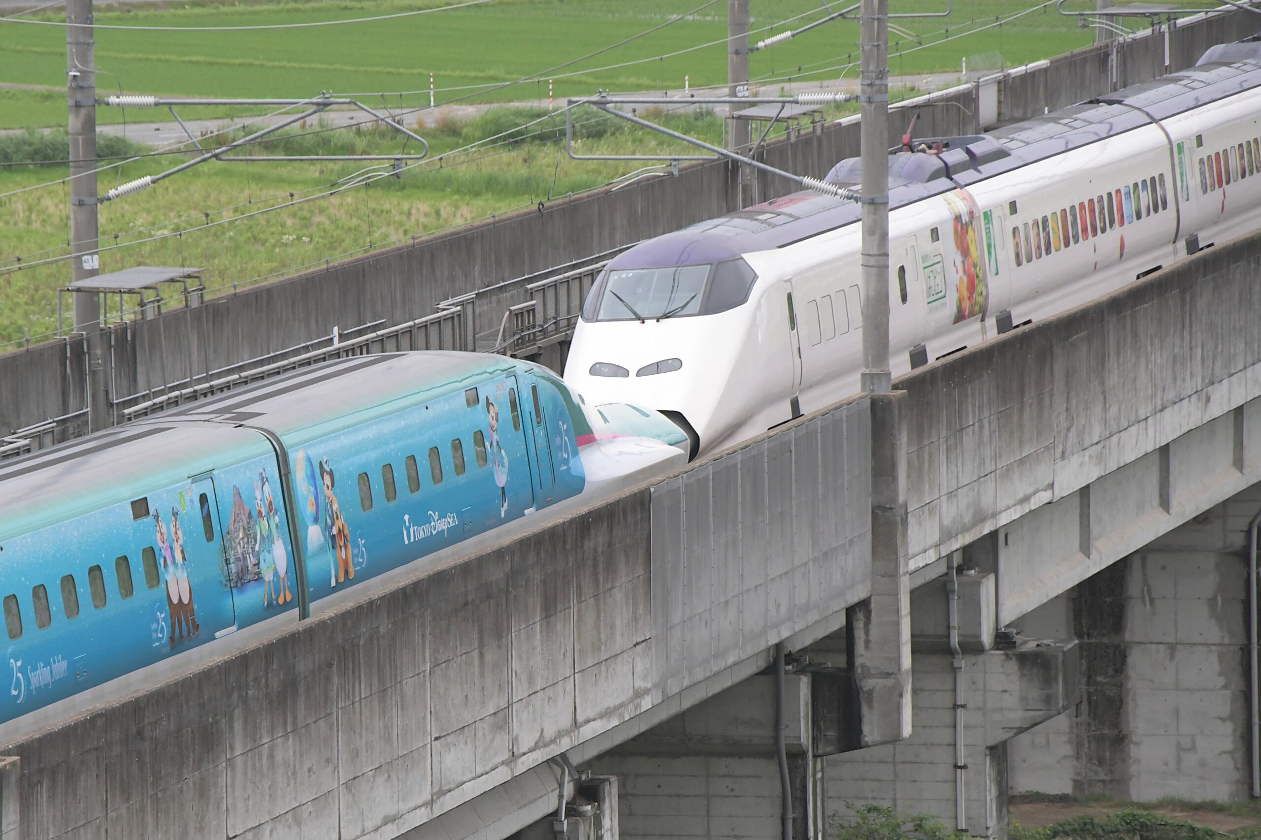 ミッキー　ビュ～ン（東北新幹線、TDS 25周年特別車両が荷物専用列車と連結）