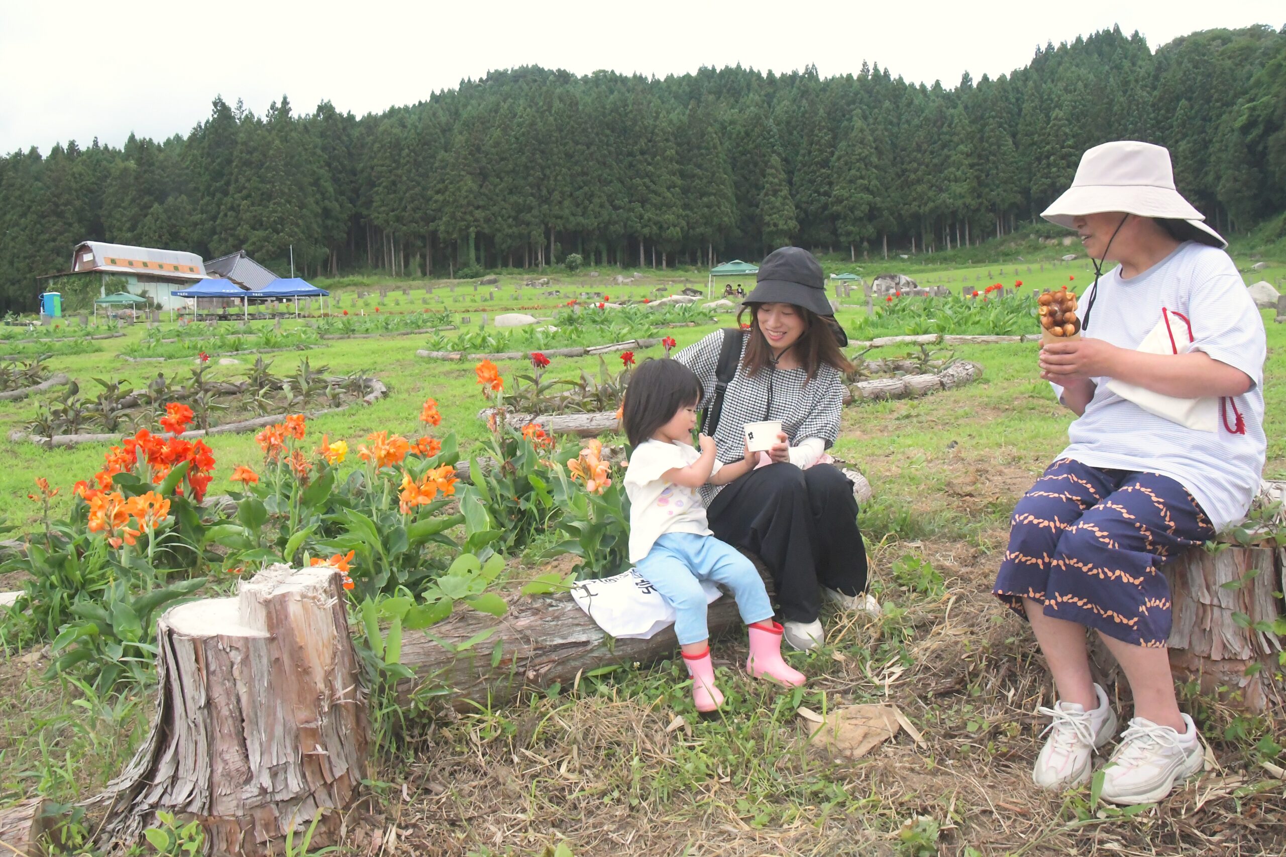 地域資源　生かす第一歩  人生の楽園inやながわカンナ園オープン 江刺