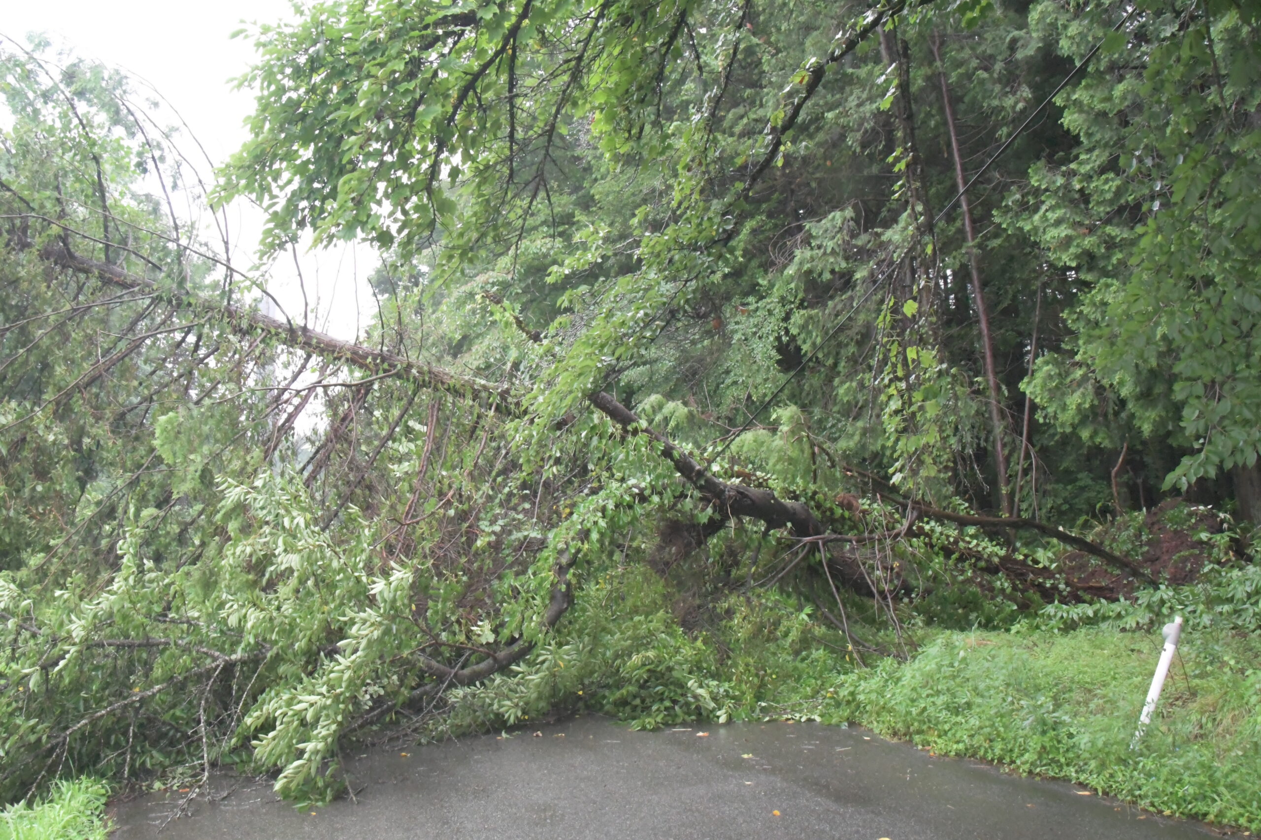 断続的に降った大雨、浸水被害　各地で