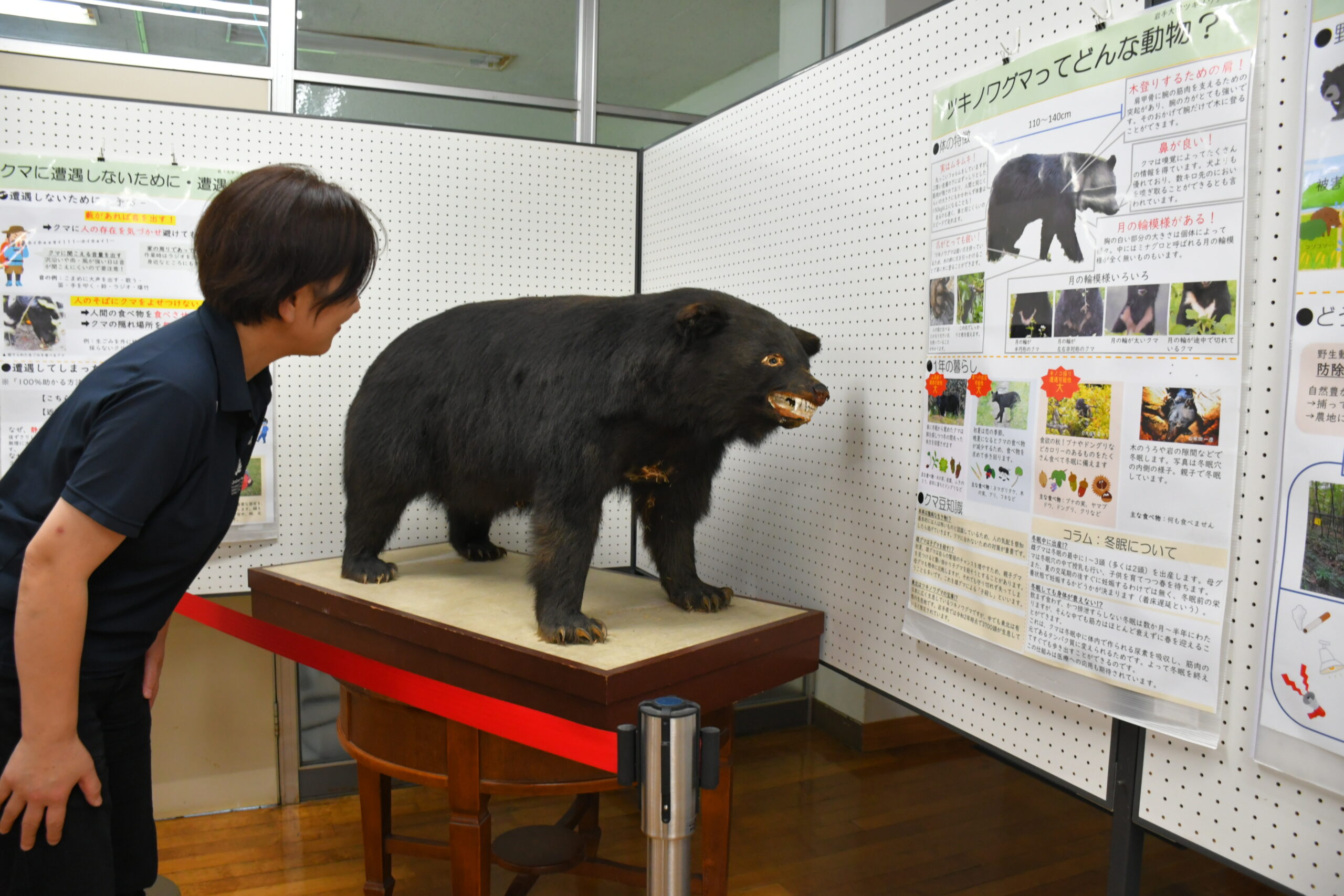 地域を守る　意識が大切、クマ被害防止へ講演会（衣川）