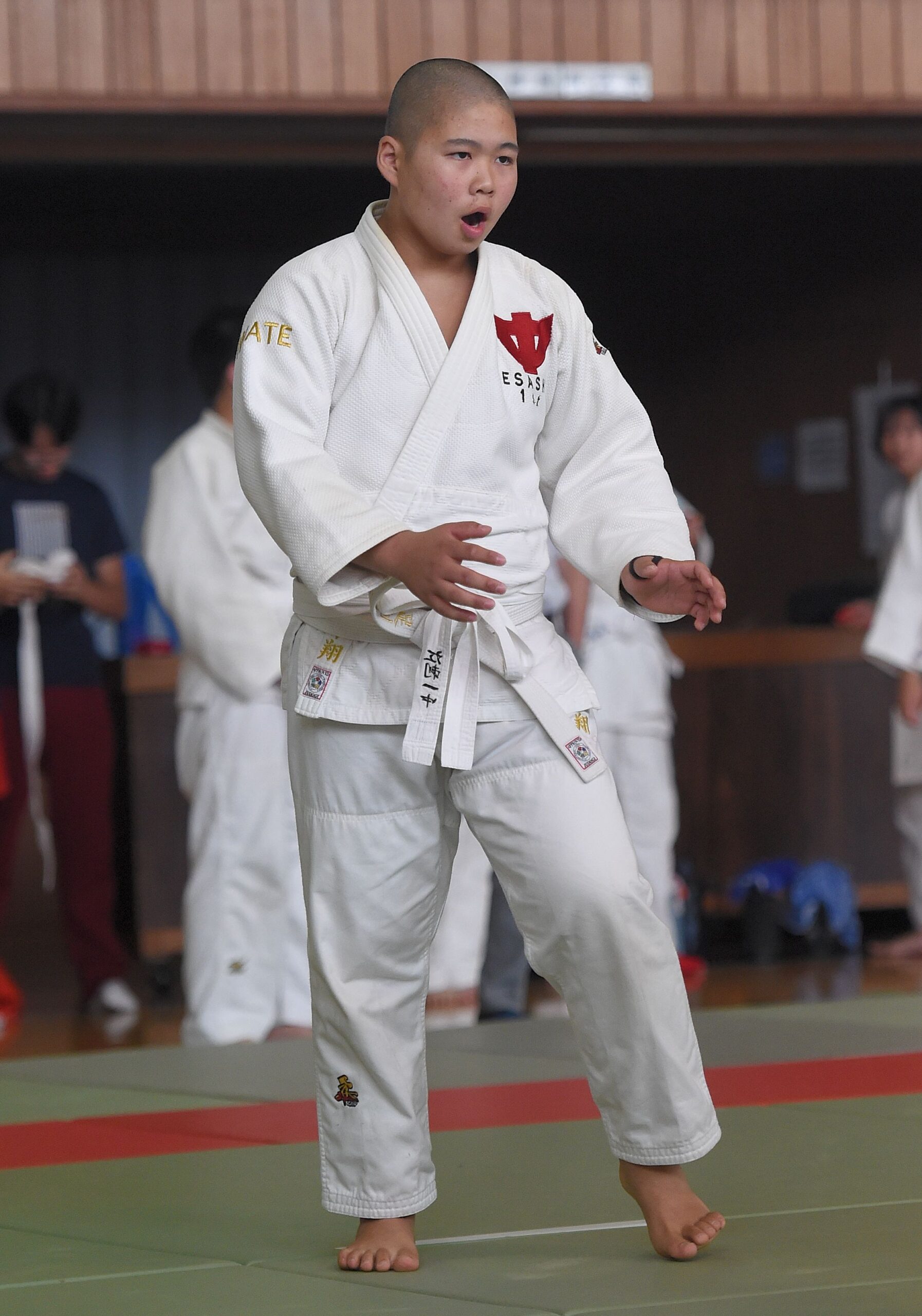 胆江地区中学校新人大会　グラフ（その１）